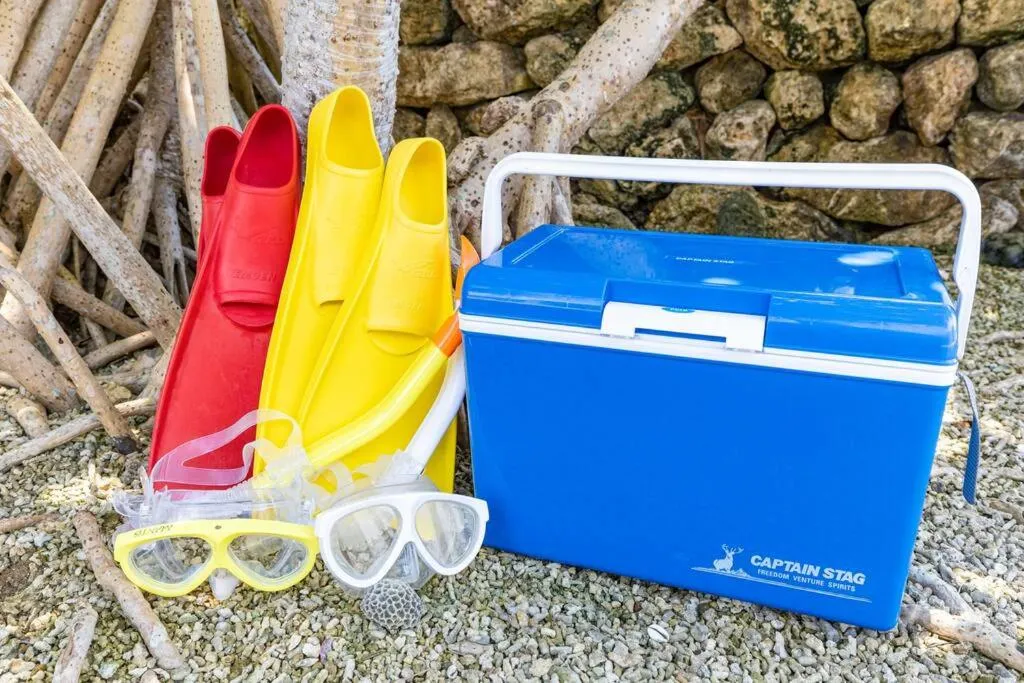 Decorative detail in Shiraho Villa