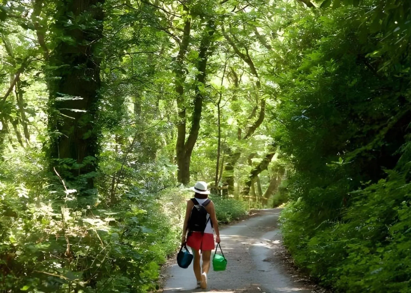 Activities in The Valley of Rocks Hotel