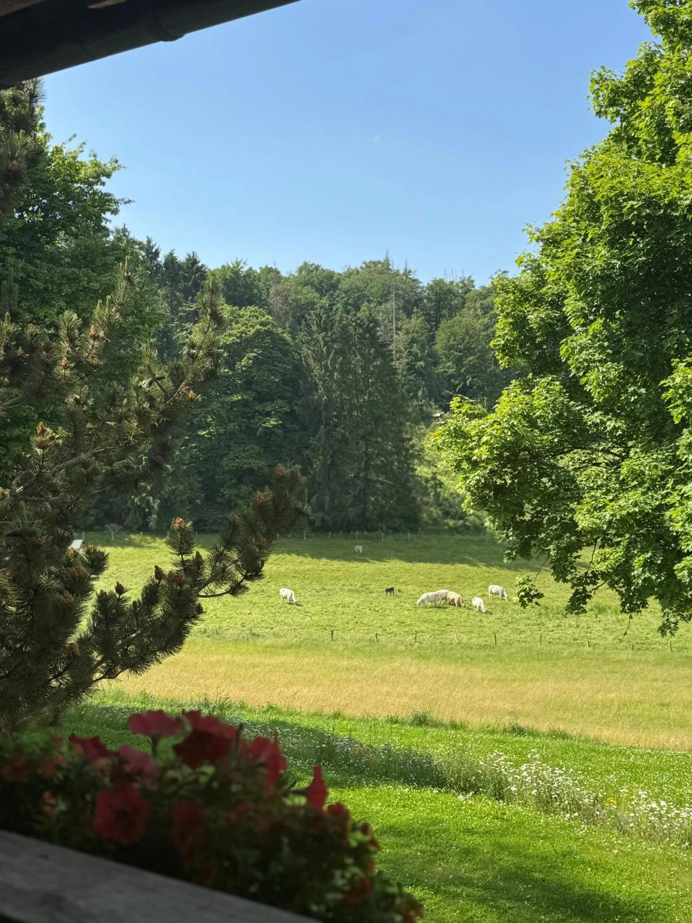 Natural landscape in Ante Romantikhof