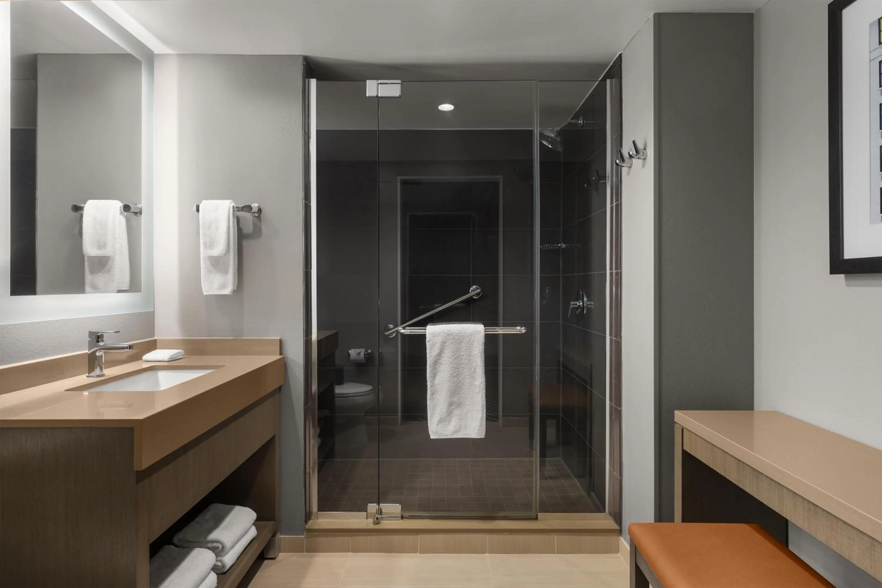 Bathroom in Hyatt House Charleston - Historic District