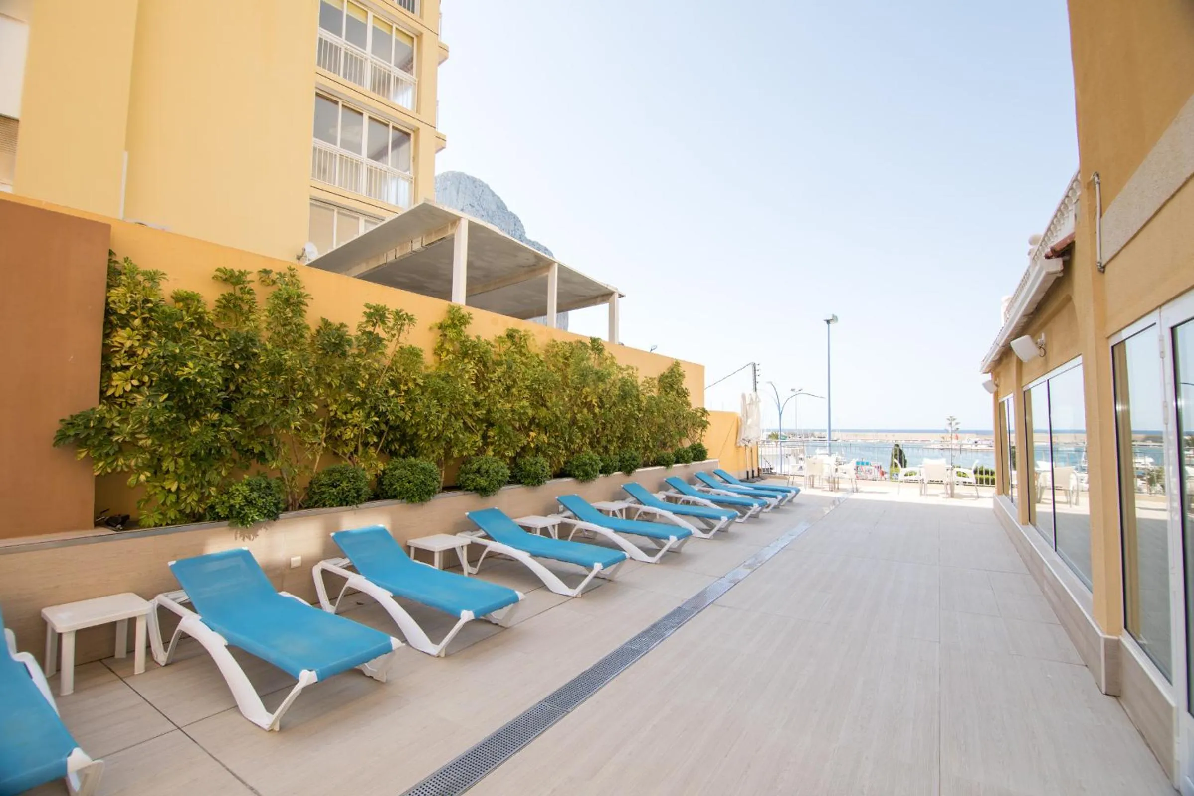 Solarium in Hotel Porto Calpe