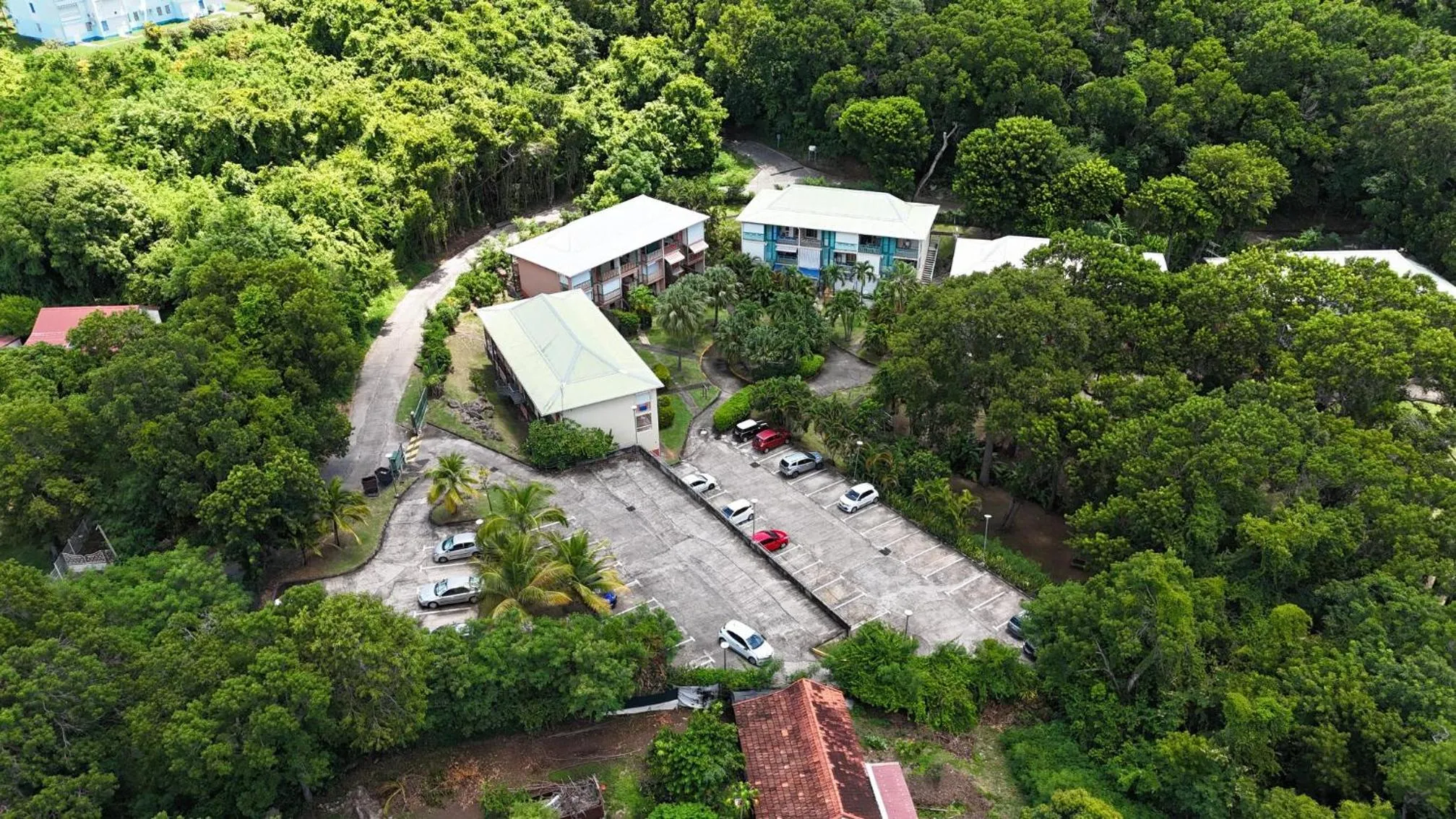 Bird's eye view in Le Mahogany Rouge