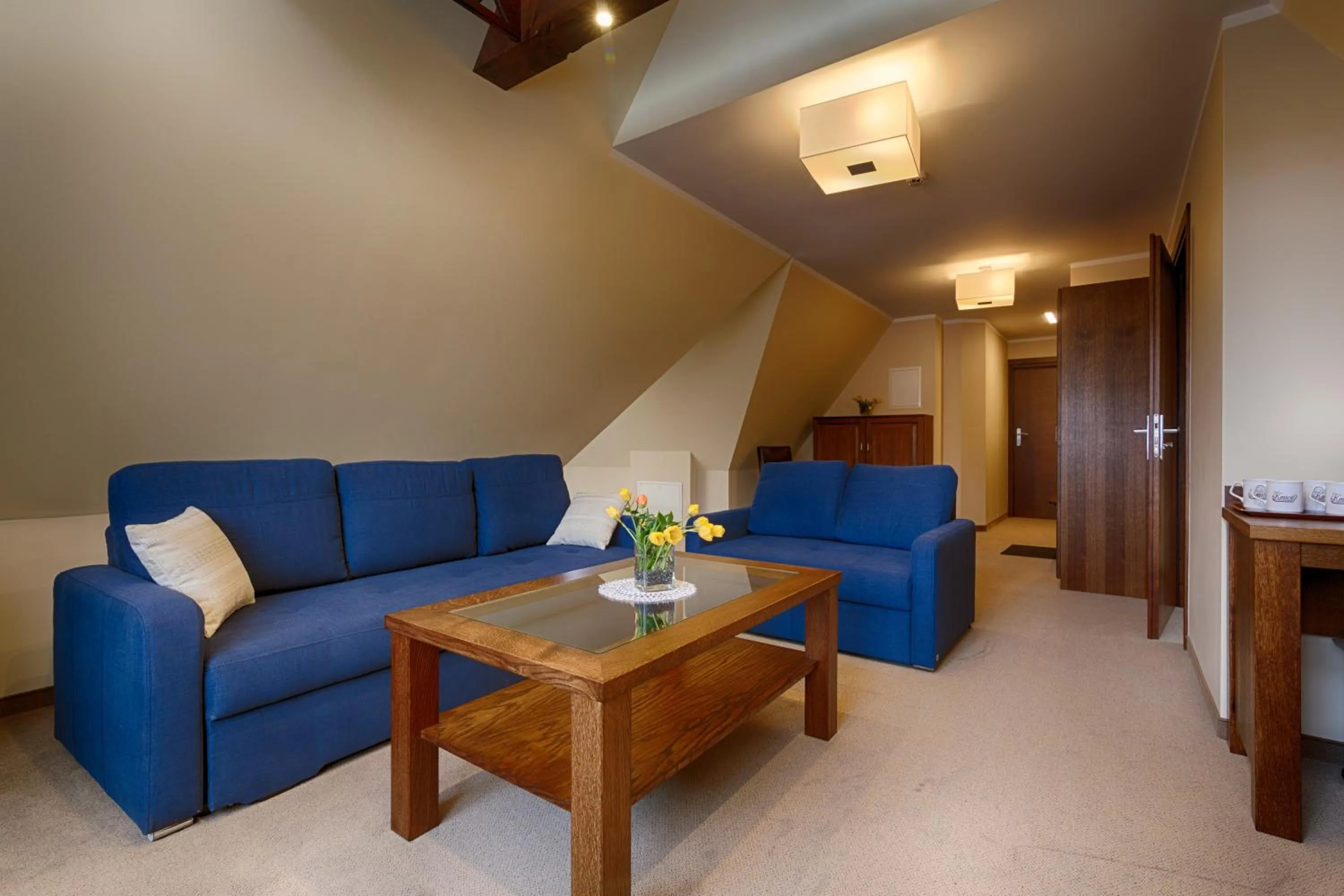 Photo of the whole room in Willa Kmicic