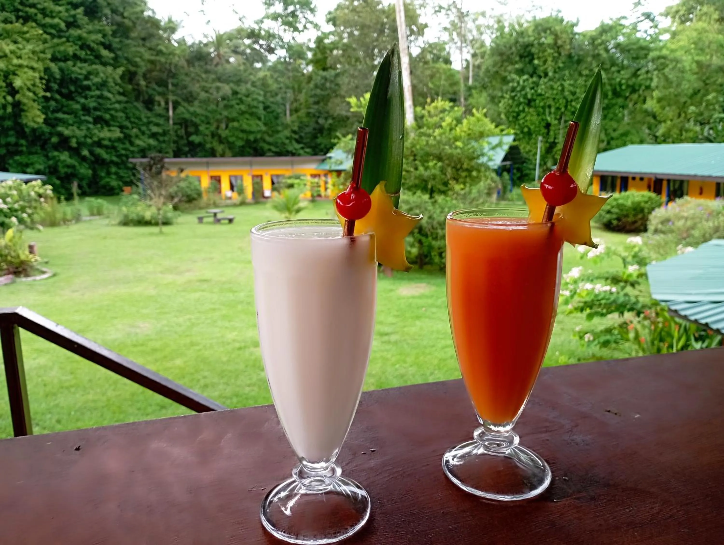 Lounge or bar in Gran Gavilán del Sarapiquí Lodge