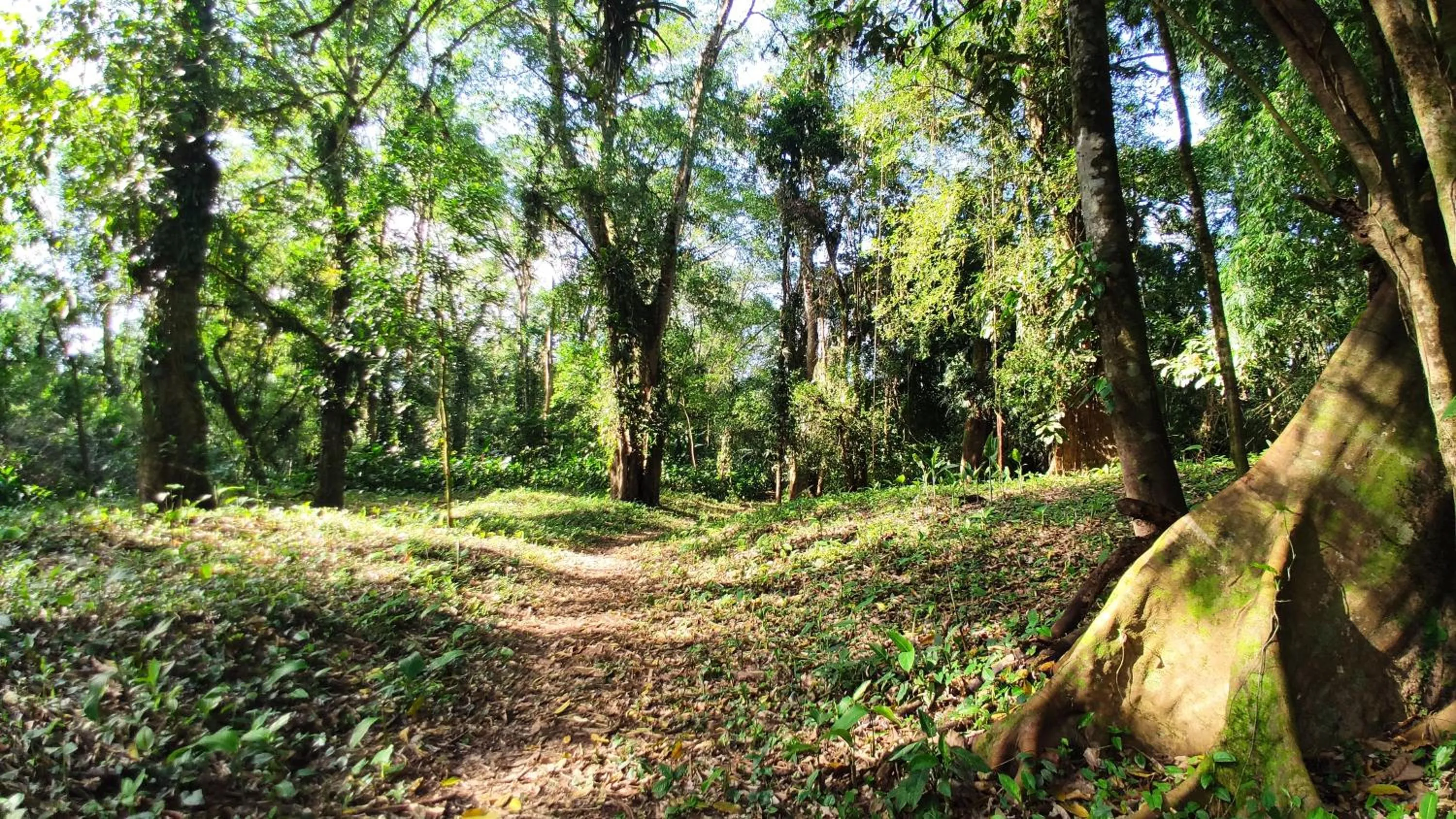 Natural landscape in Gran Gavilán del Sarapiquí Lodge