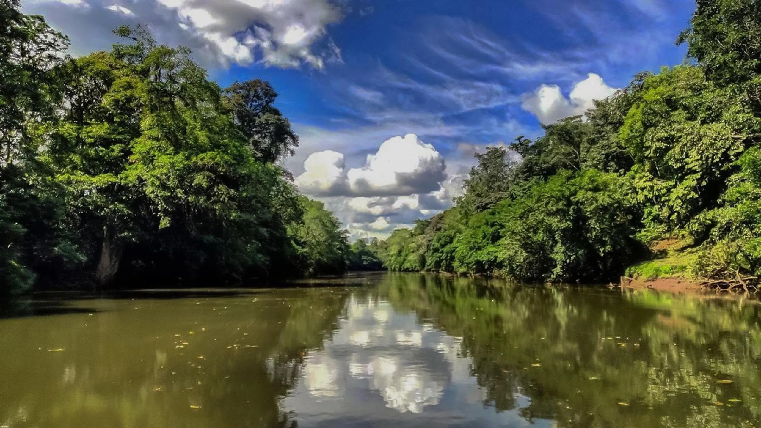 Natural landscape in Gran Gavilán del Sarapiquí Lodge
