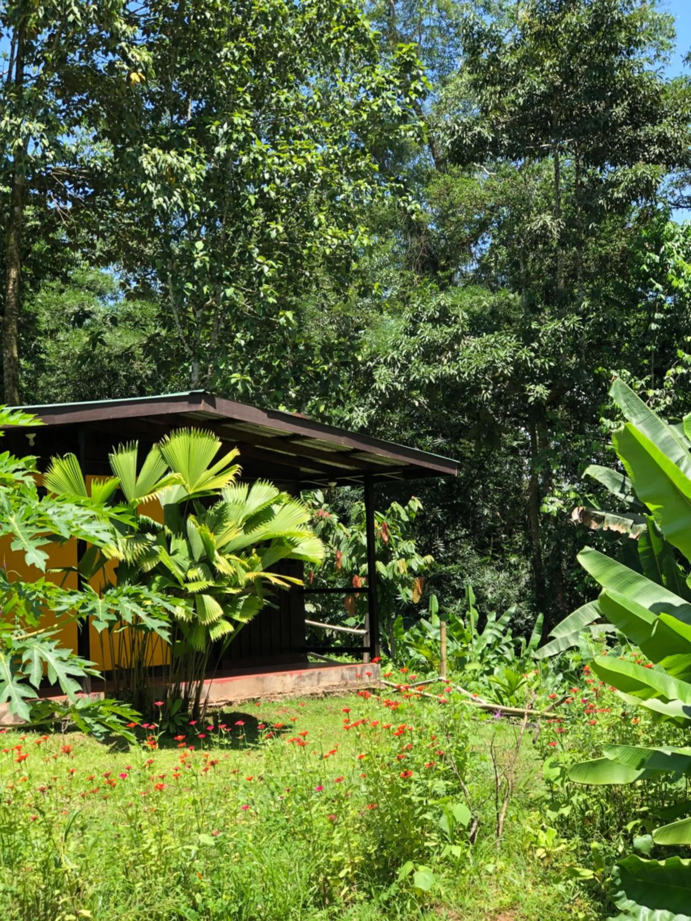Natural landscape in Gran Gavilán del Sarapiquí Lodge