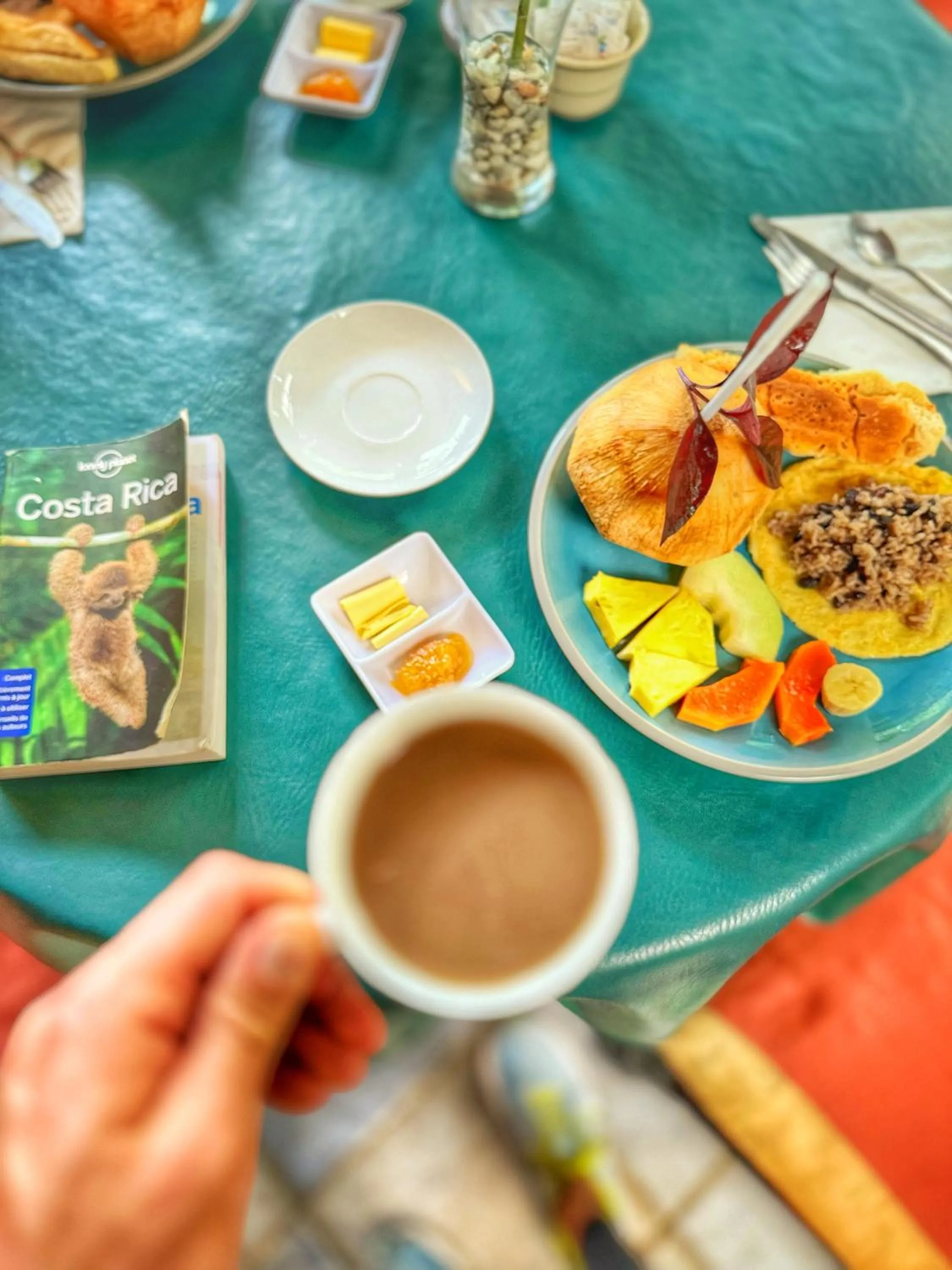 Restaurant/places to eat in Gran Gavilán del Sarapiquí Lodge