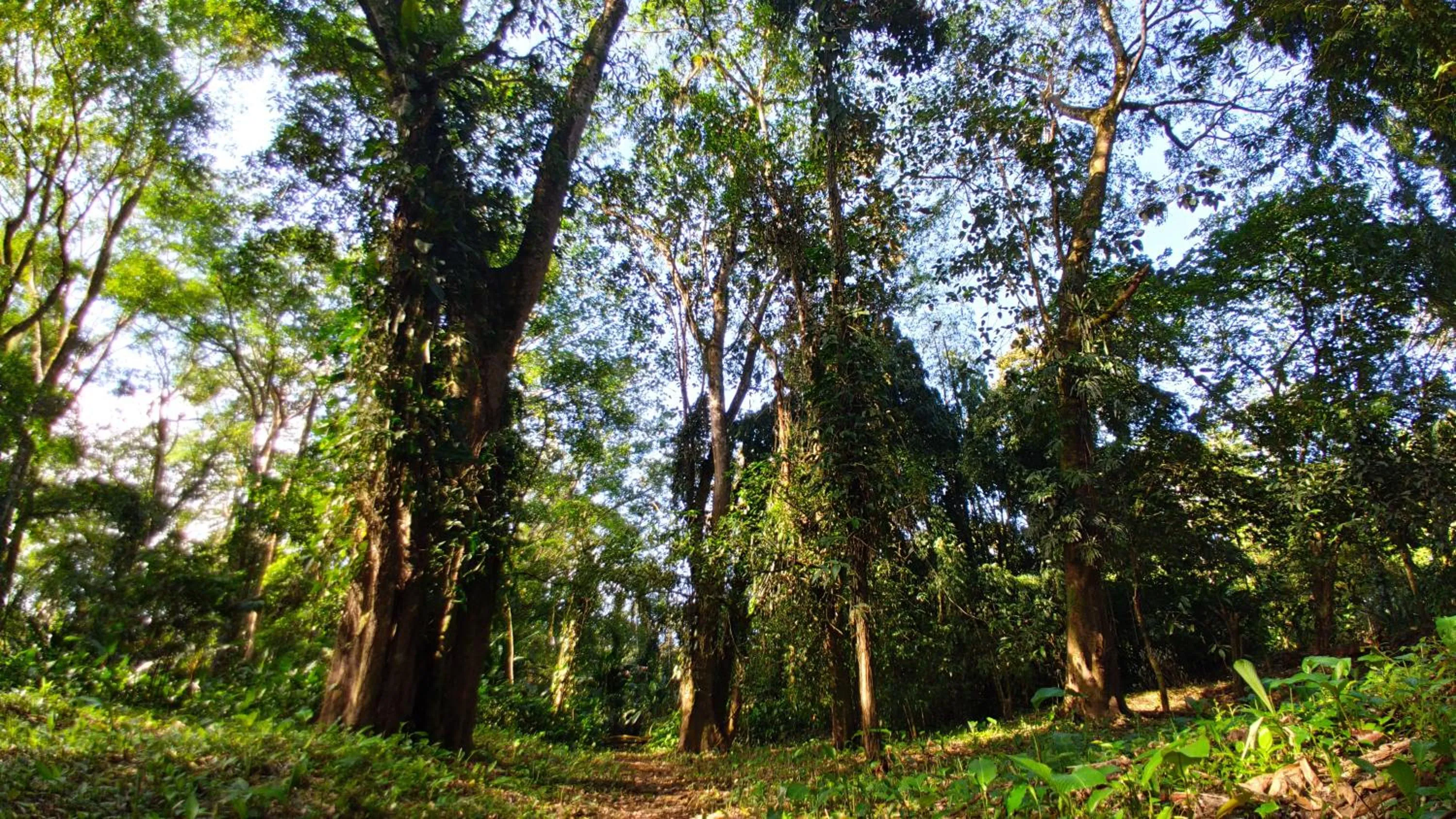 Natural landscape in Gran Gavilán del Sarapiquí Lodge