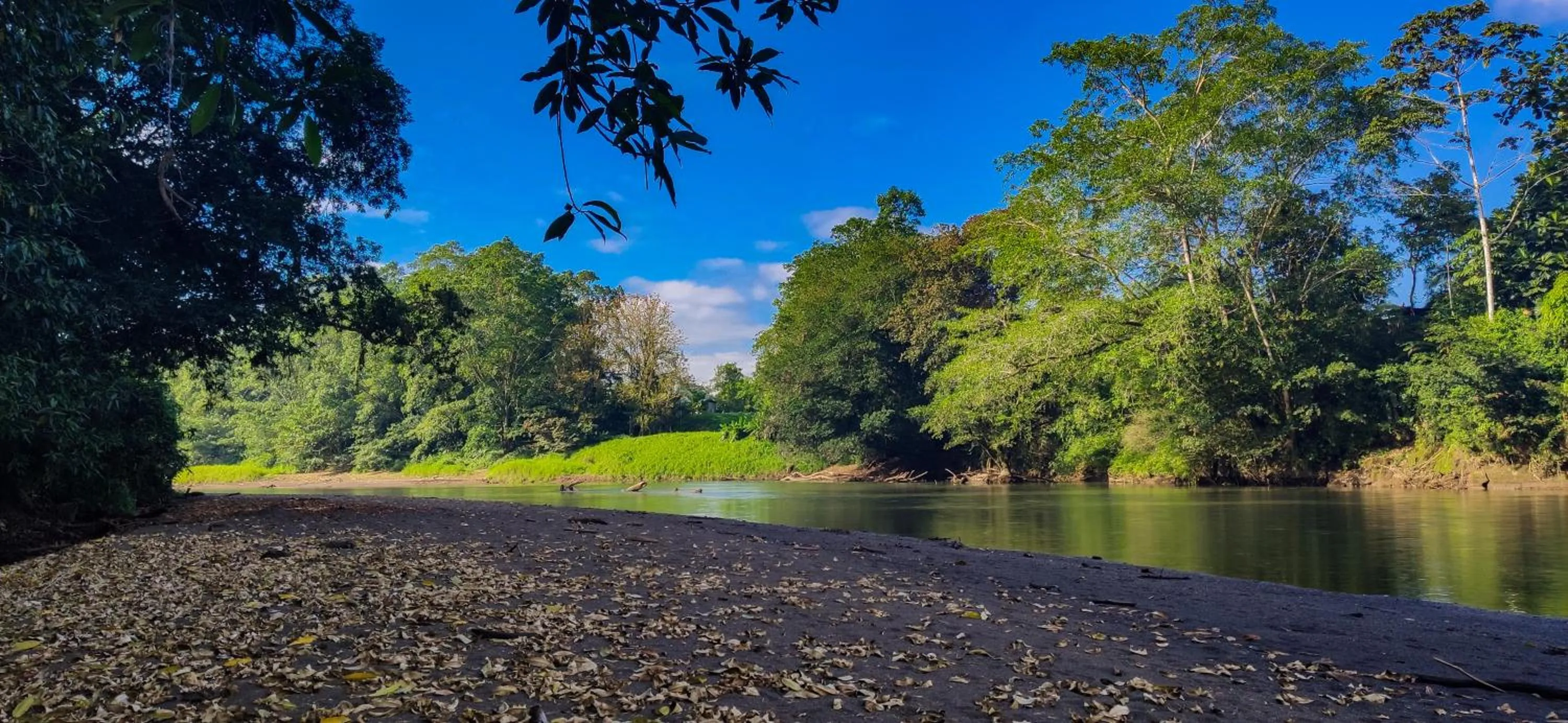 Natural landscape in Gran Gavilán del Sarapiquí Lodge