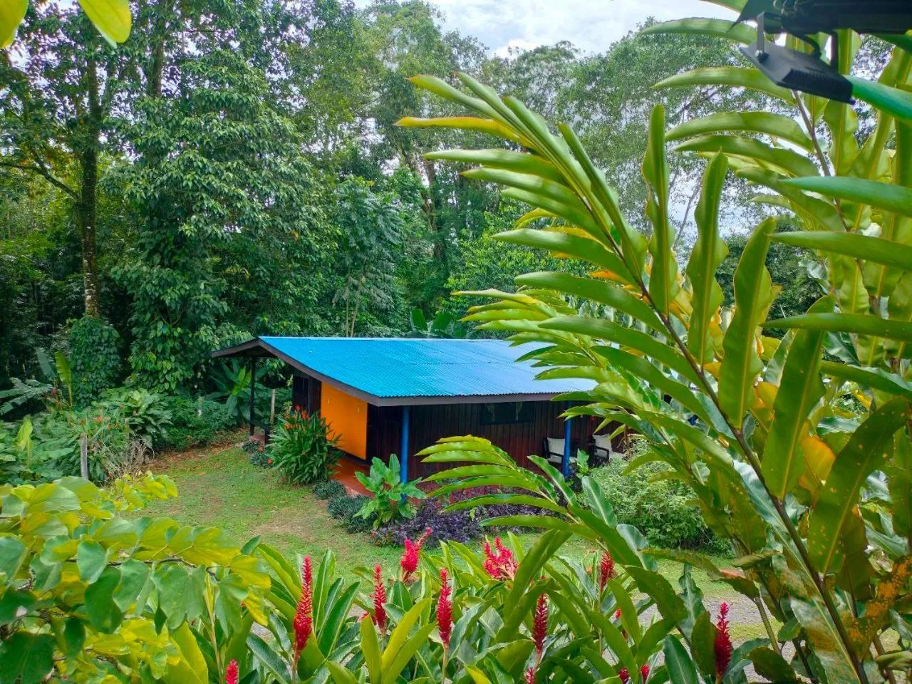 Property building in Gran Gavilán del Sarapiquí Lodge