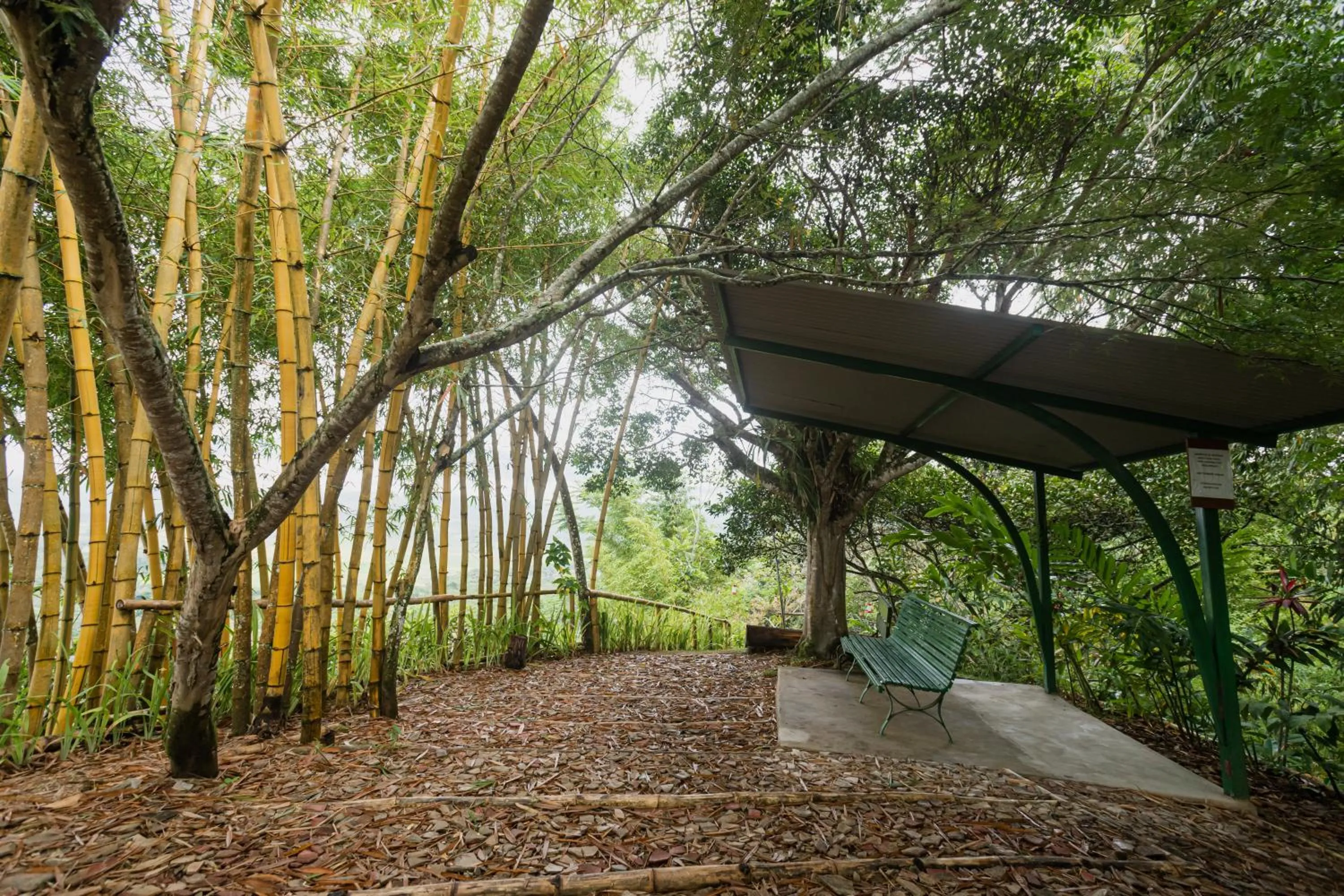 Patio in Altavista Casahotel - Asociado Casa Andina