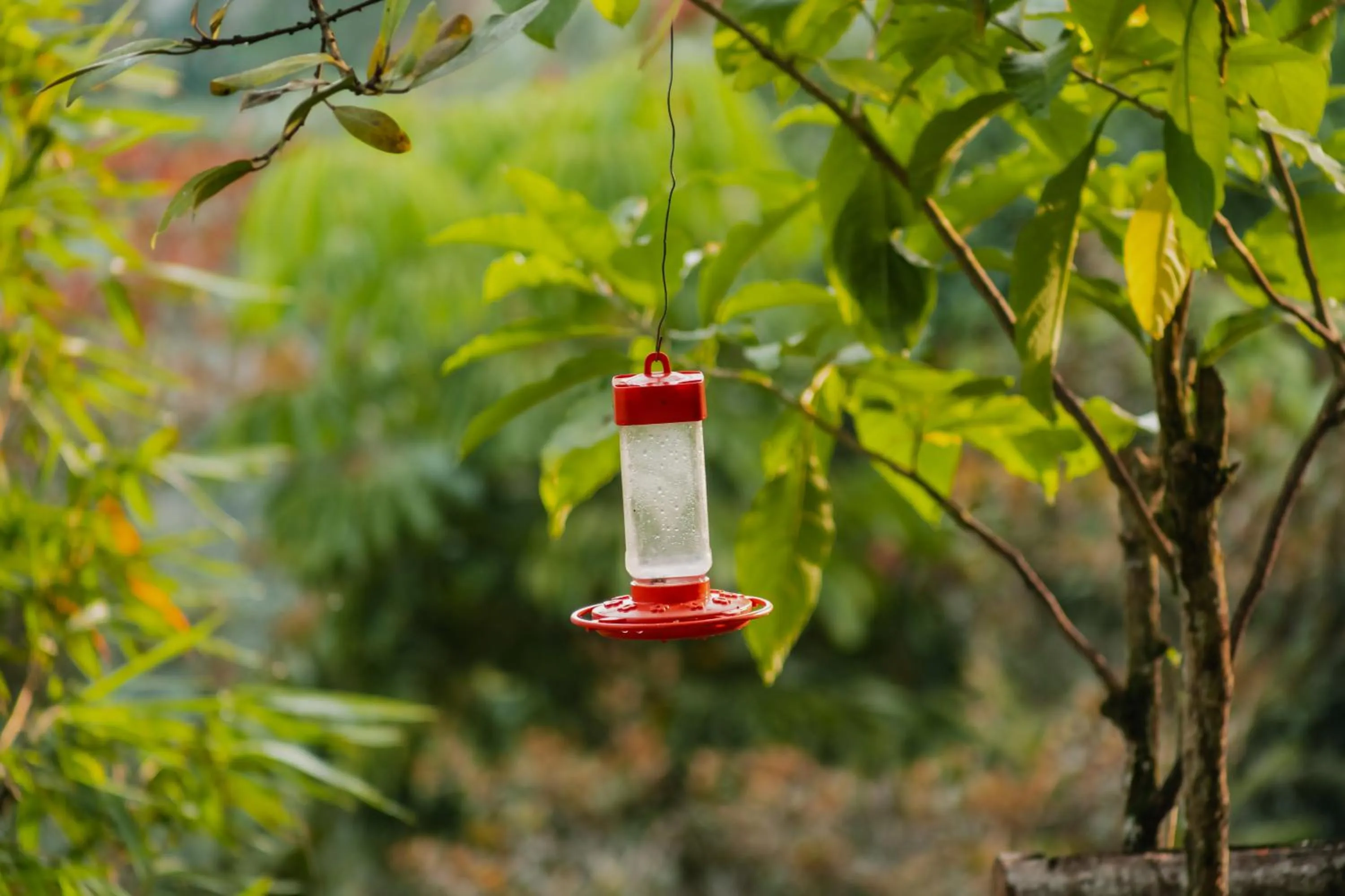 Garden in Altavista Casahotel - Asociado Casa Andina