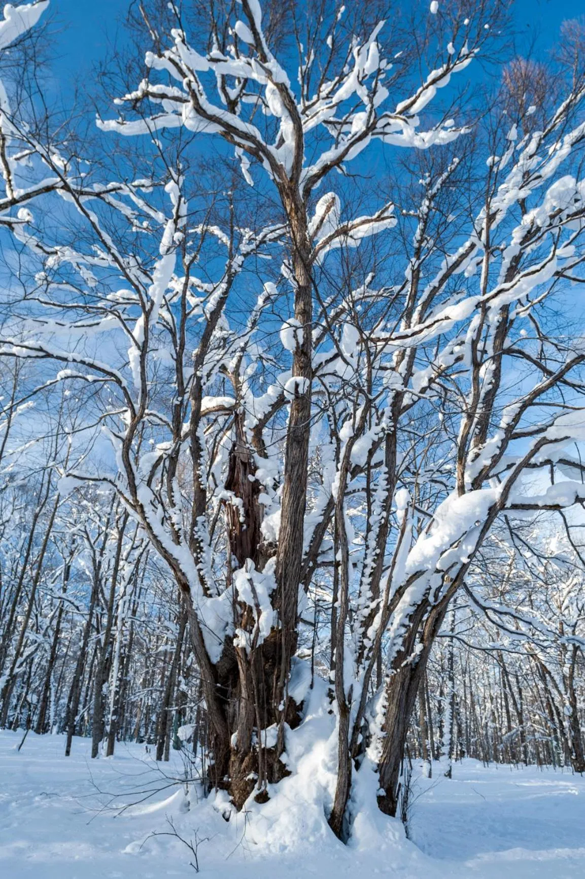 Nearby landmark in Shikishimaso