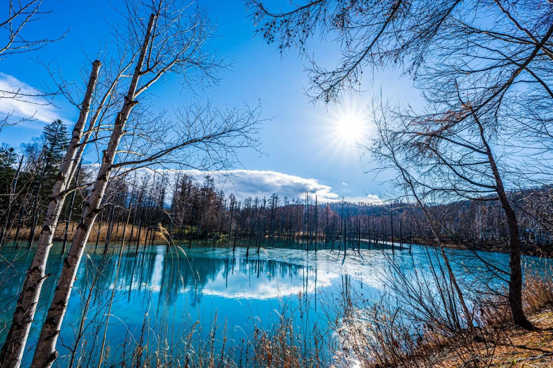 Nearby landmark in Shikishimaso