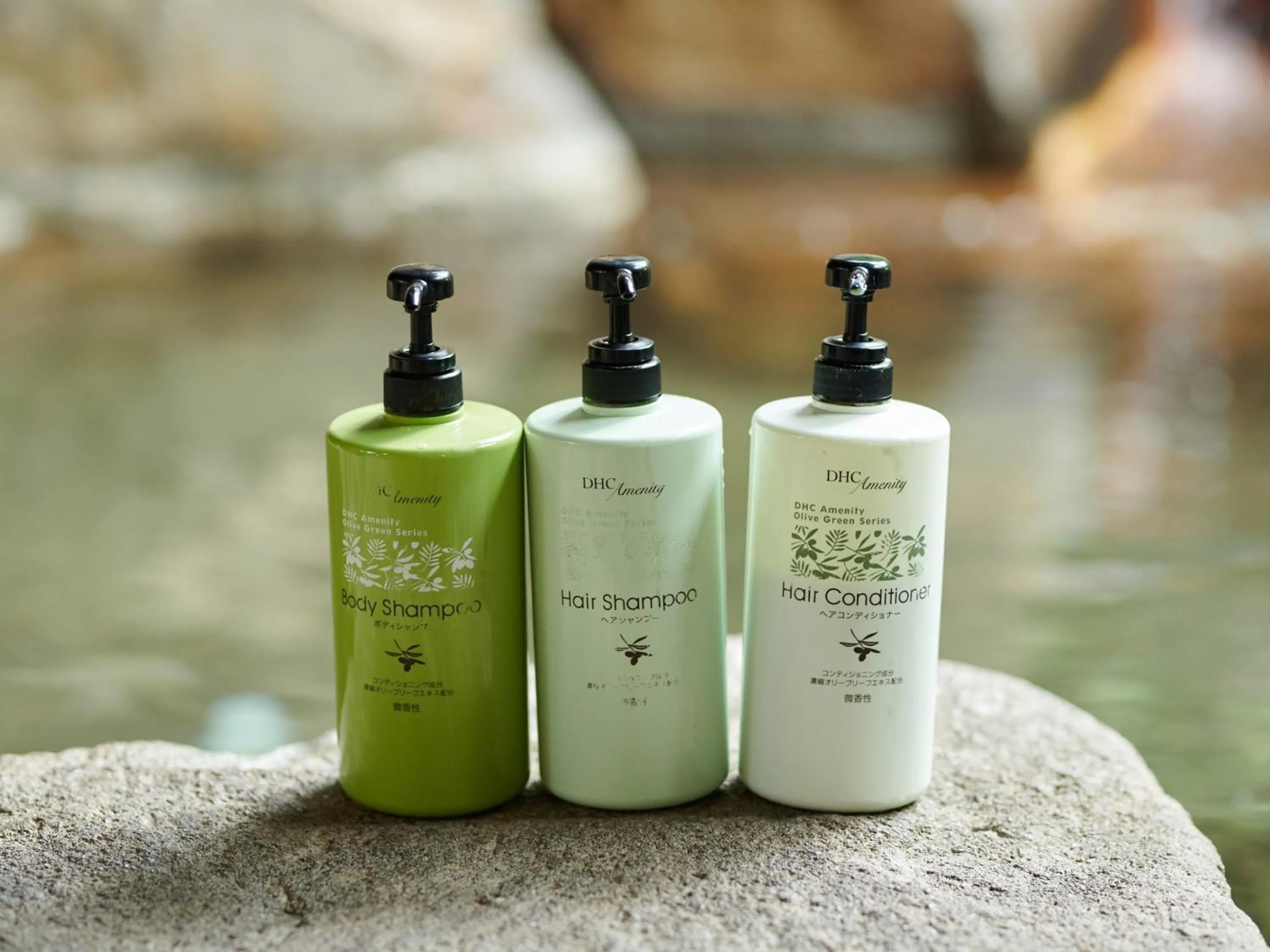 Public Bath in Tabist Ryokufuen Kiyoharu