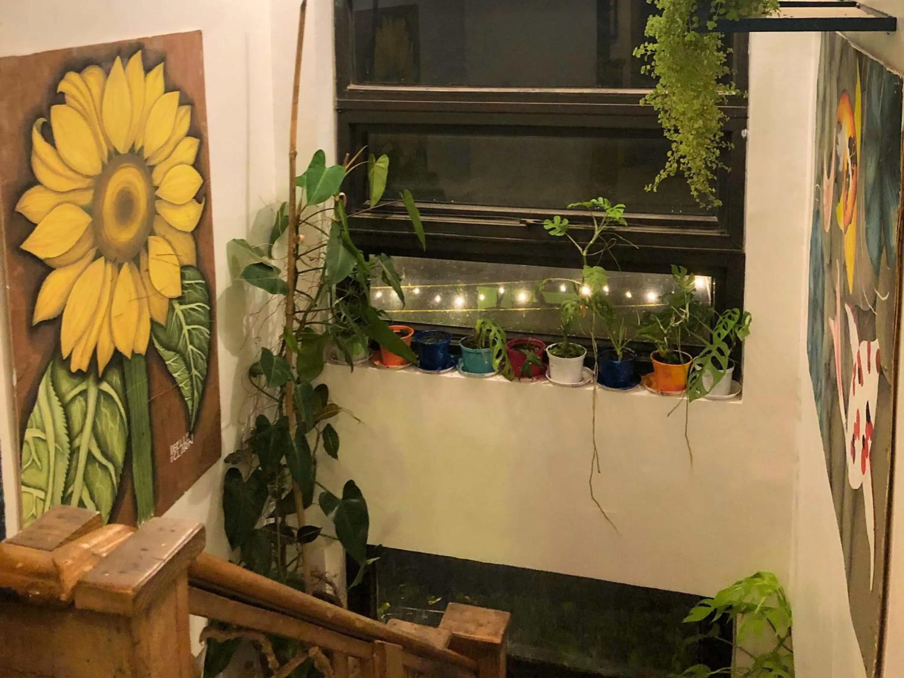 Area and facilities in Cabins by Eco Hotels