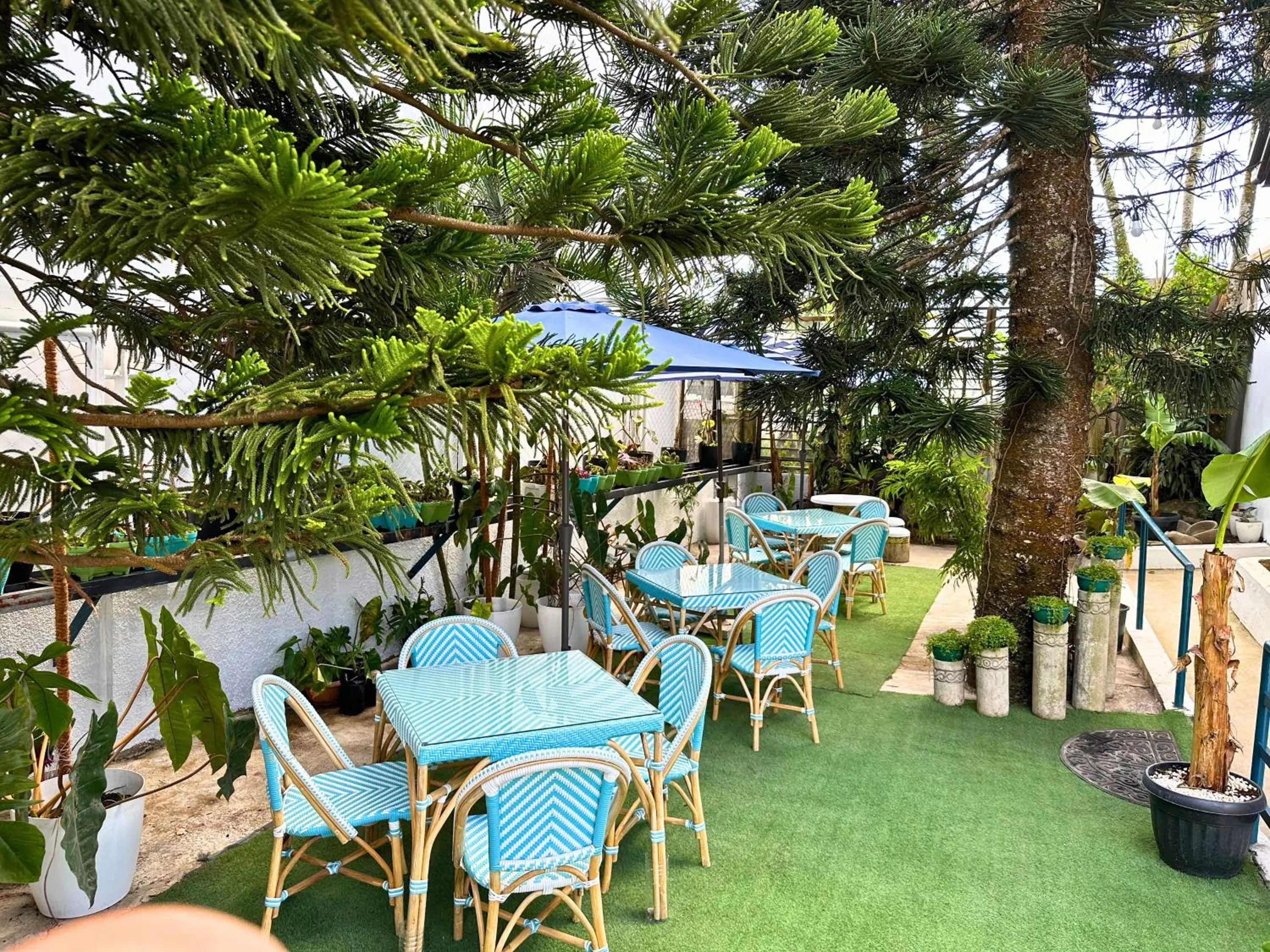 Restaurant/places to eat in Cabins by Eco Hotels