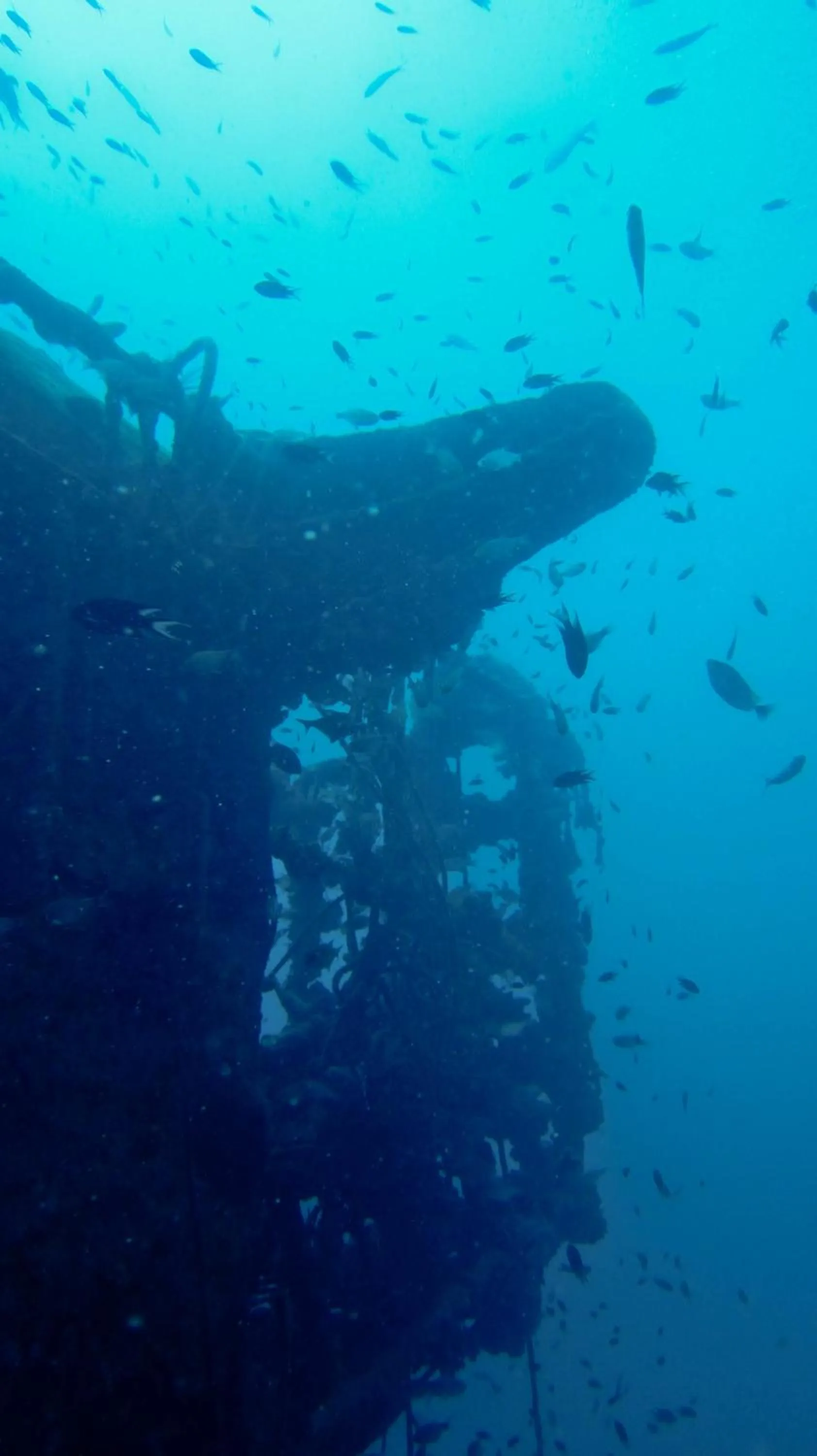 Diving in The Barat Perhentian
