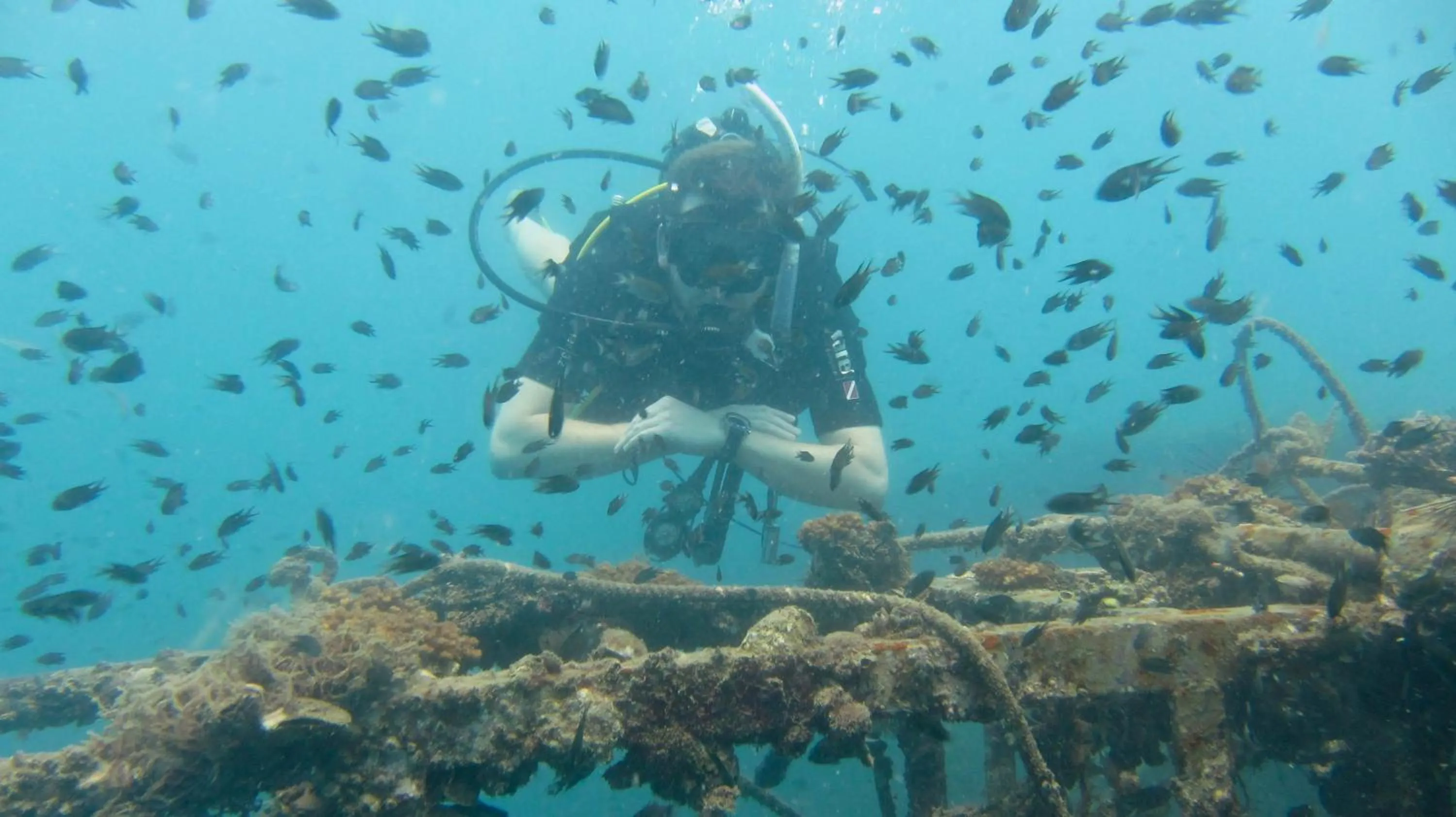 Diving in The Barat Perhentian