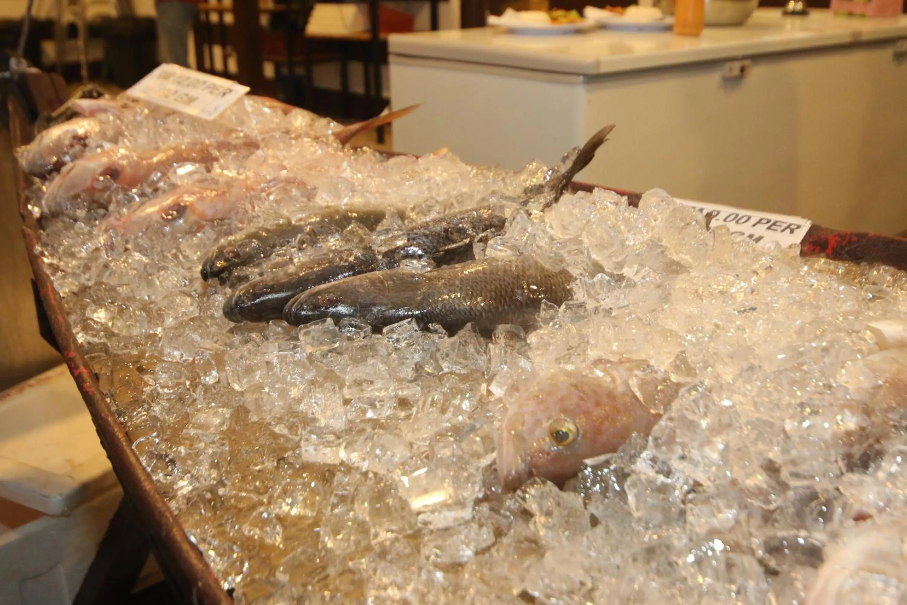 BBQ facilities in The Barat Perhentian