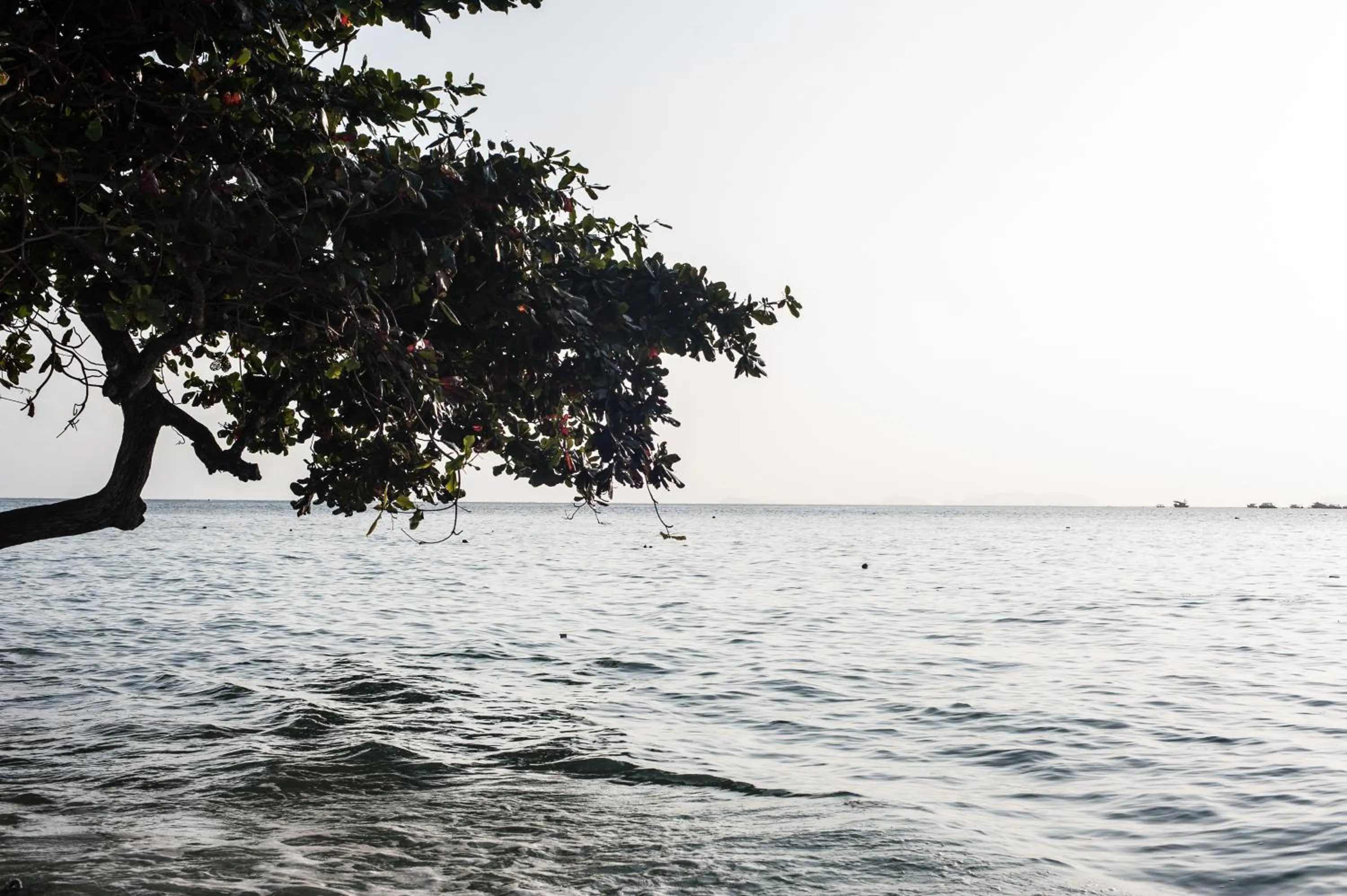 Natural landscape in The Barat Perhentian