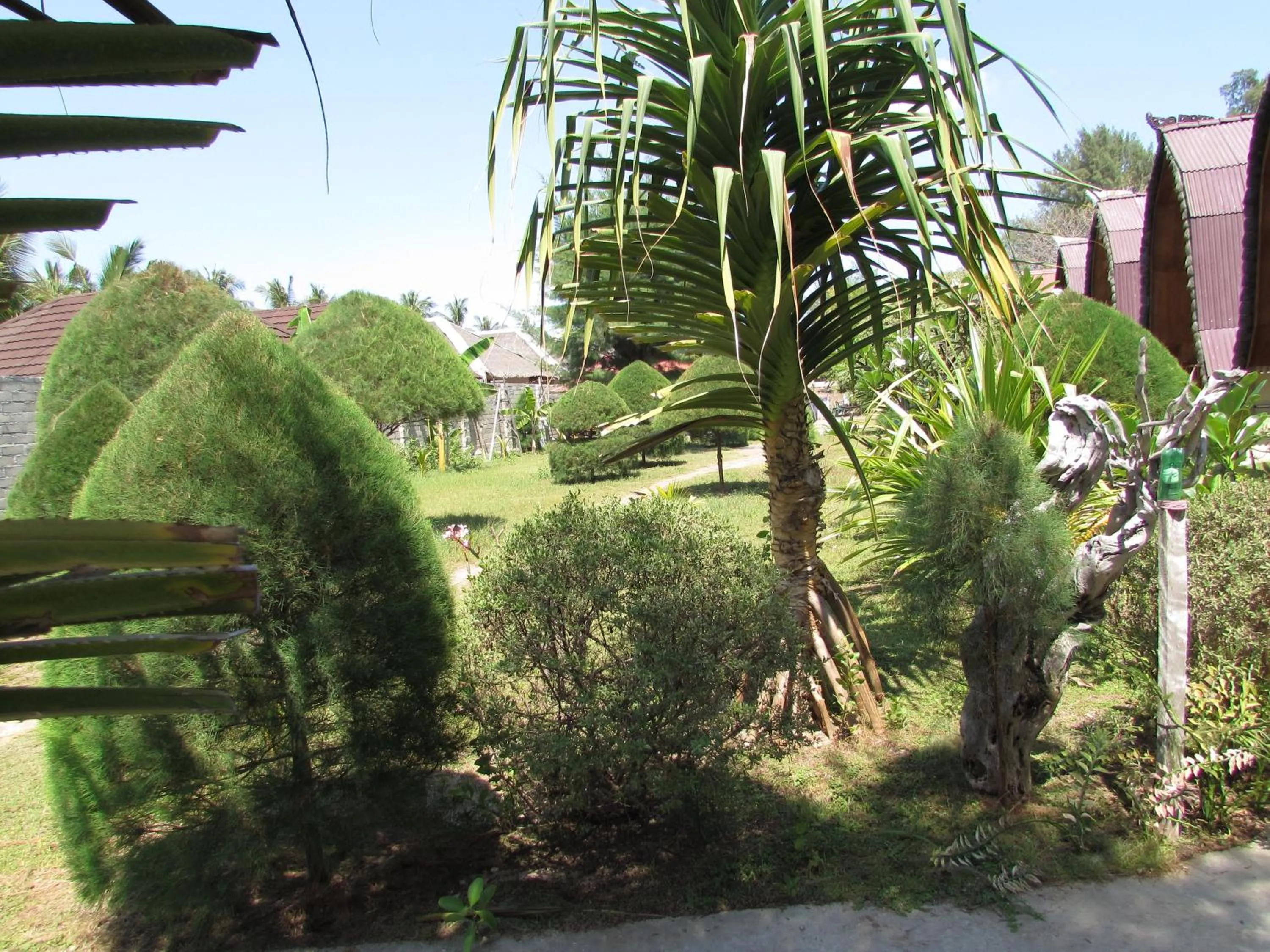 Garden view in II Bungalow