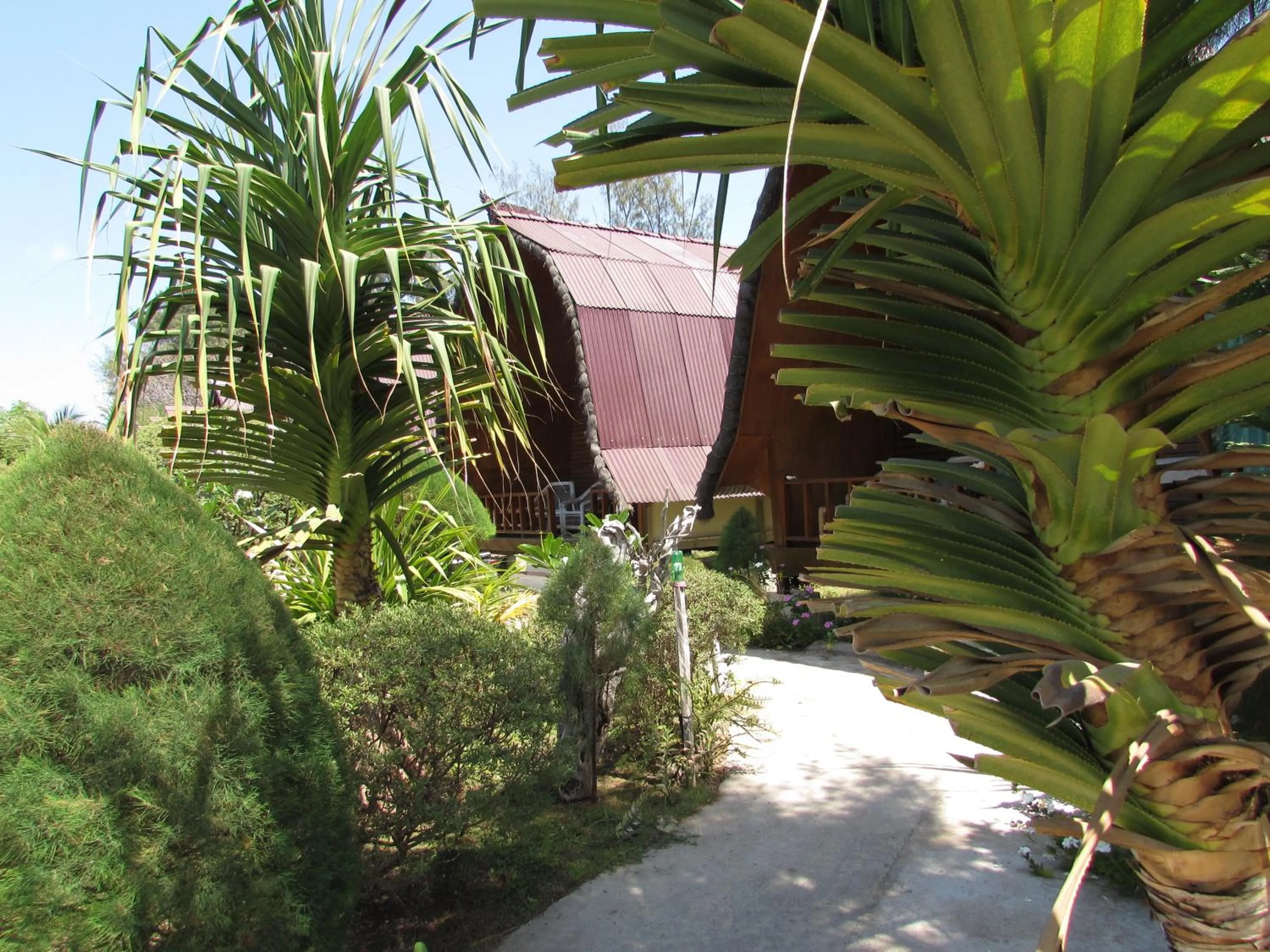 Garden view in II Bungalow