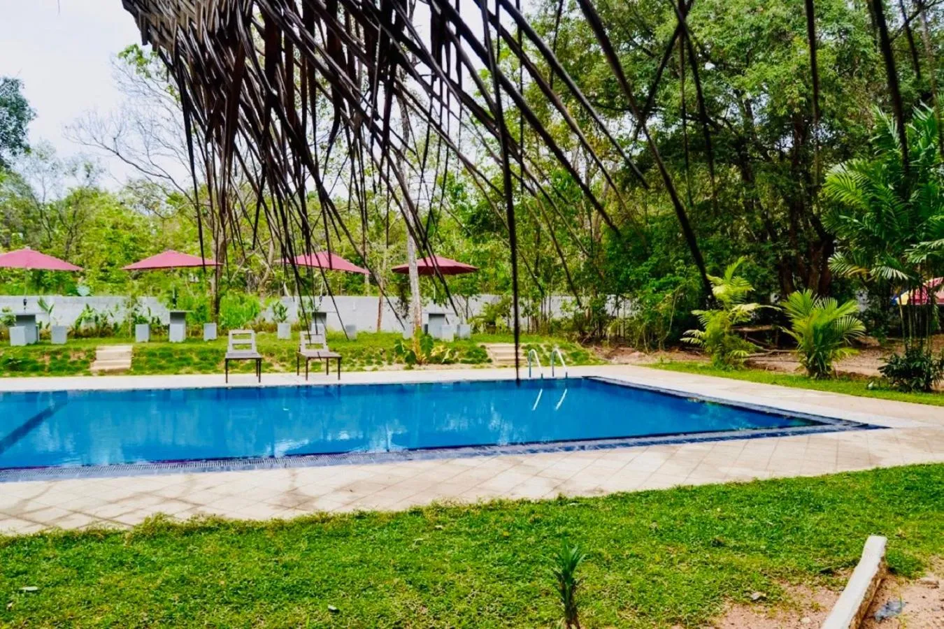 Swimming pool in Dudley Nature Resort