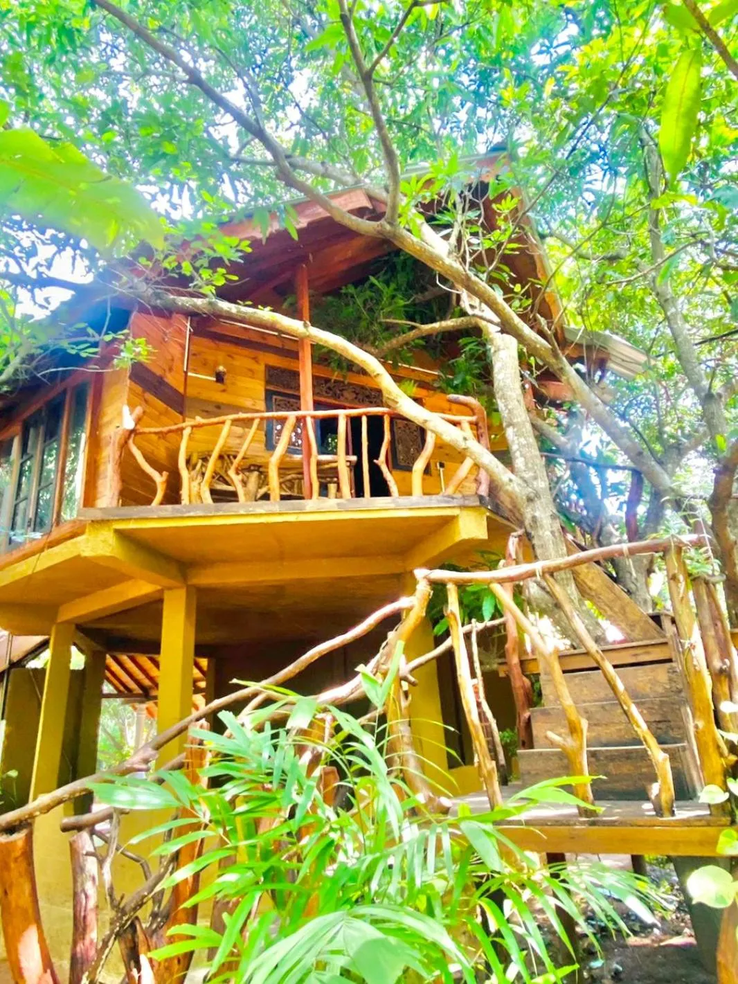 Property building in Dudley Nature Resort