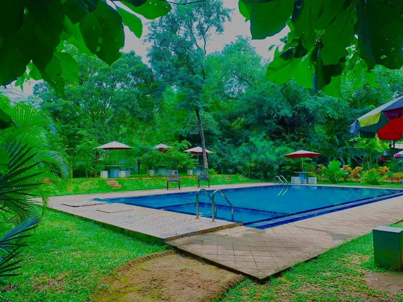 Swimming pool in Dudley Nature Resort