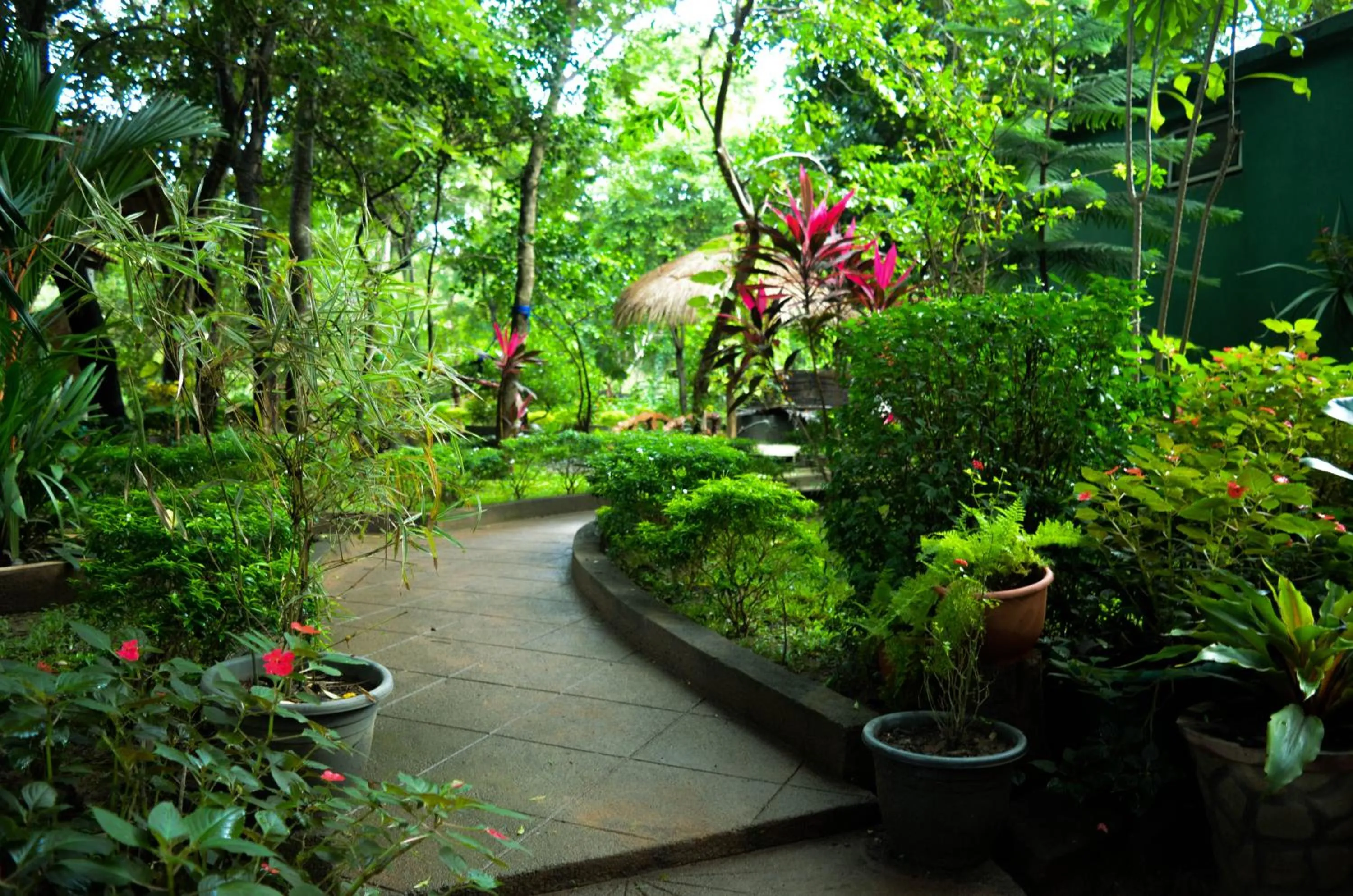 View (from property/room) in Dudley Nature Resort