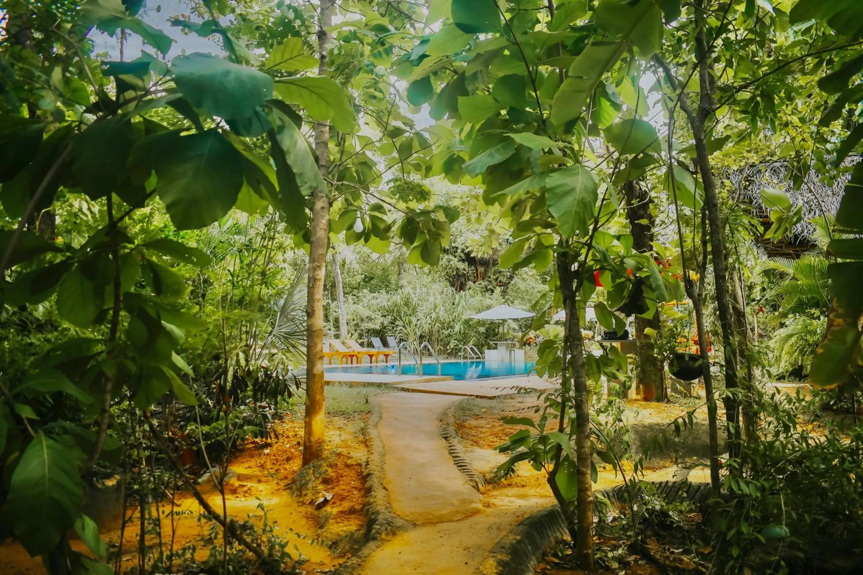 Swimming pool in Dudley Nature Resort