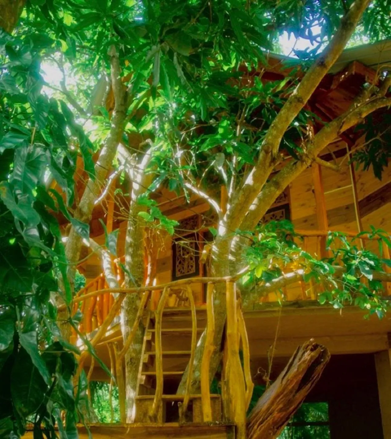 Garden view in Dudley Nature Resort