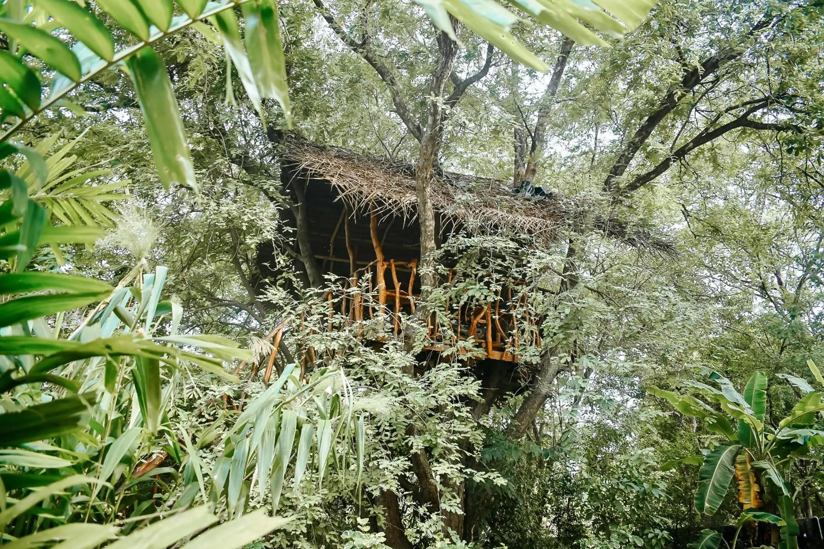 Natural landscape in Dudley Nature Resort