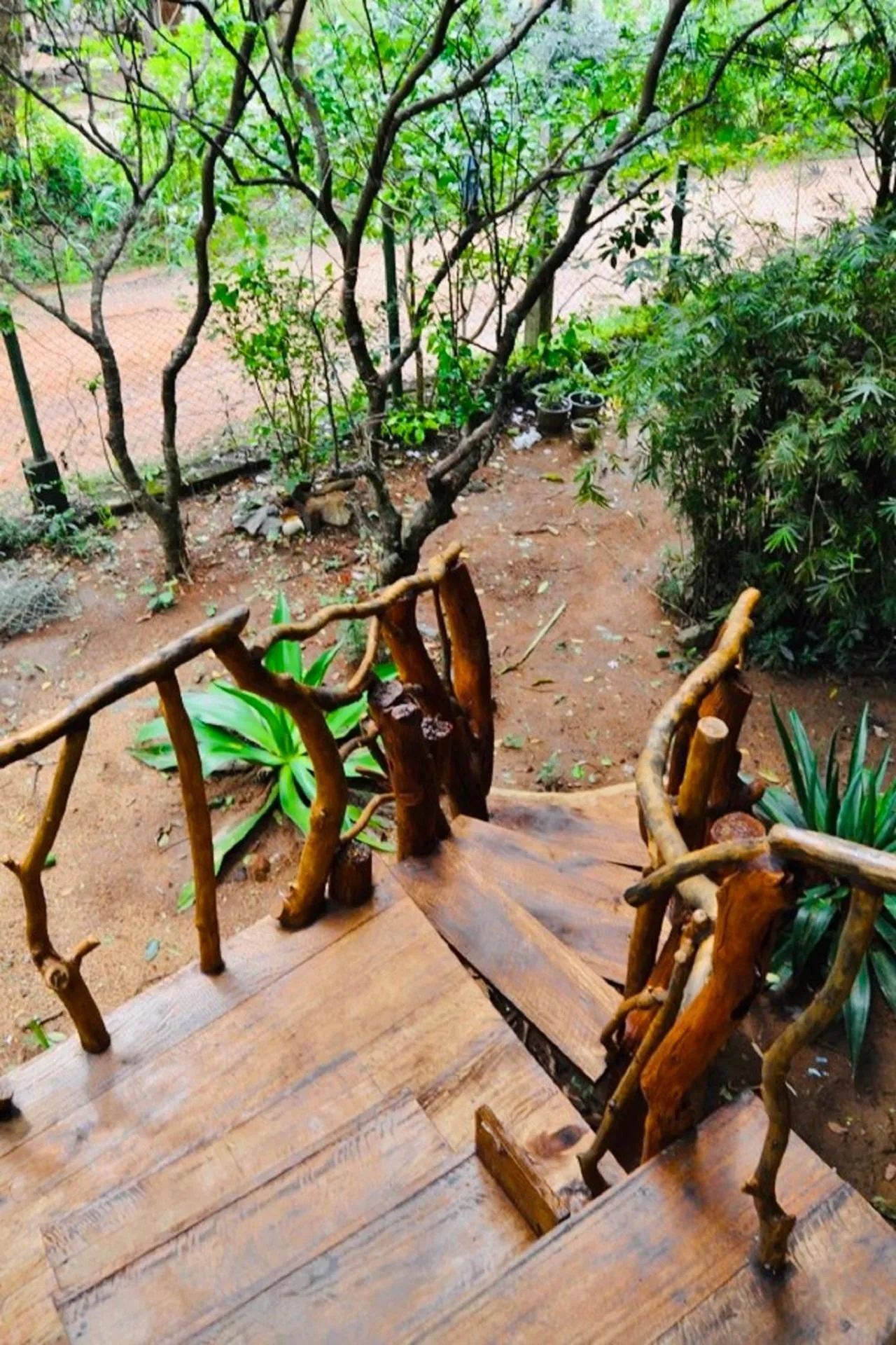 View (from property/room) in Dudley Nature Resort