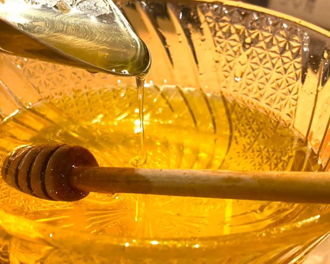 Restaurant/places to eat in Hotel Global View Hakodate