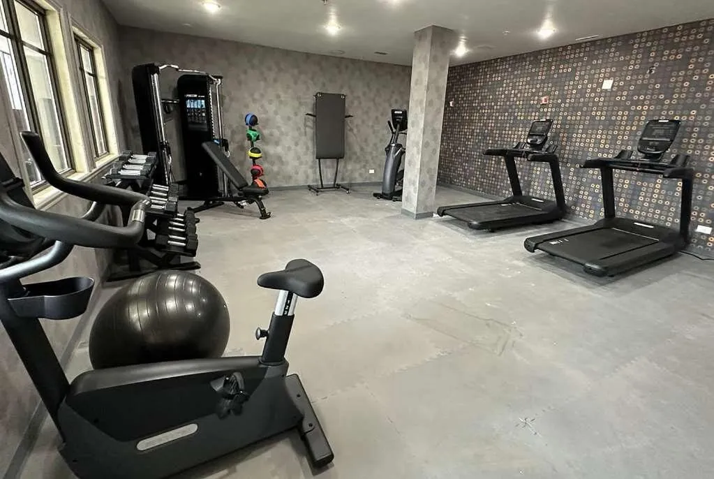 Fitness centre/facilities in La Quinta Inn & Suites by Wyndham South Holland