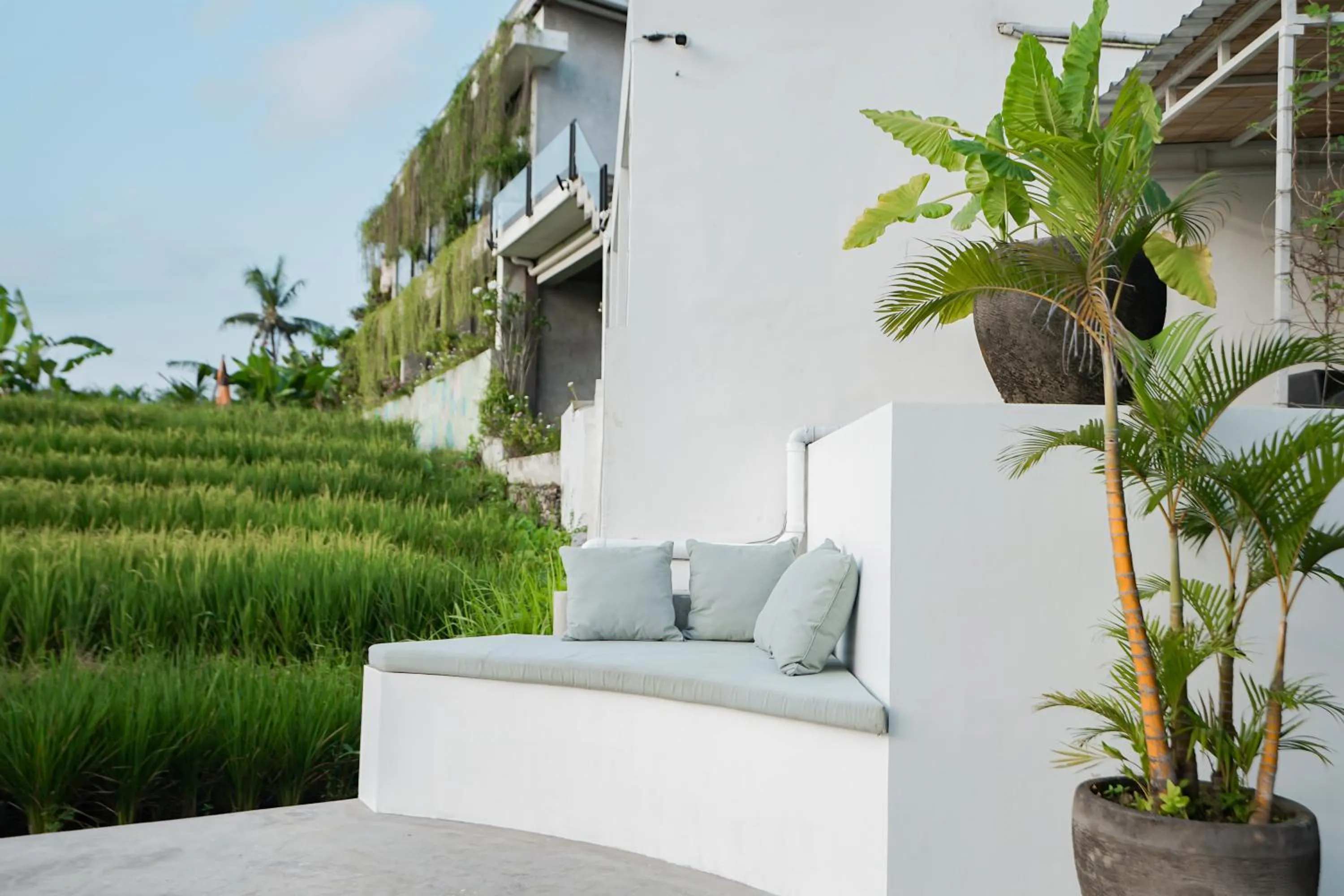 Garden in Suksma Guesthouse