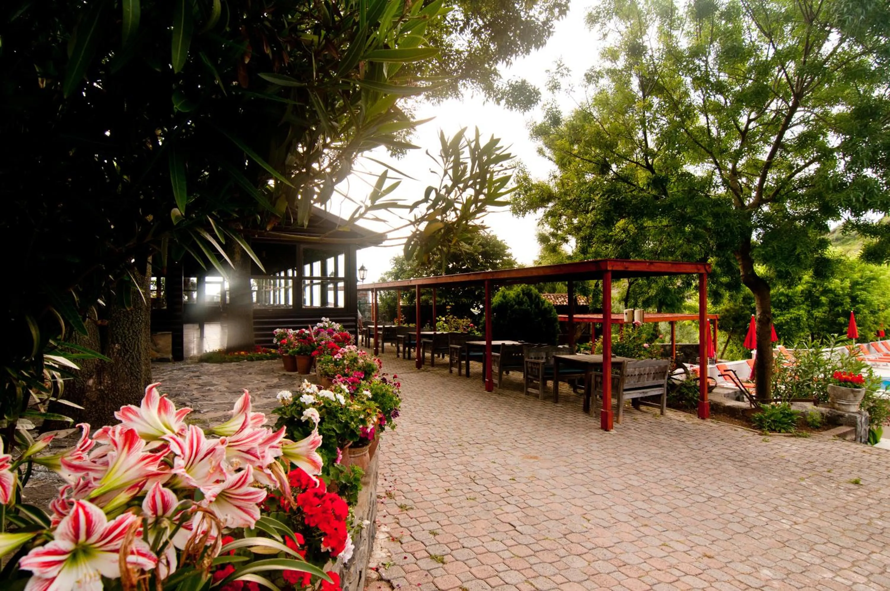 Garden view in Fener Motel