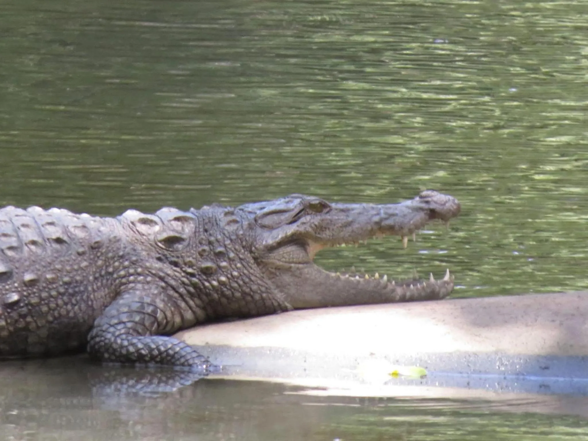 Natural landscape in Lake Wind Resort