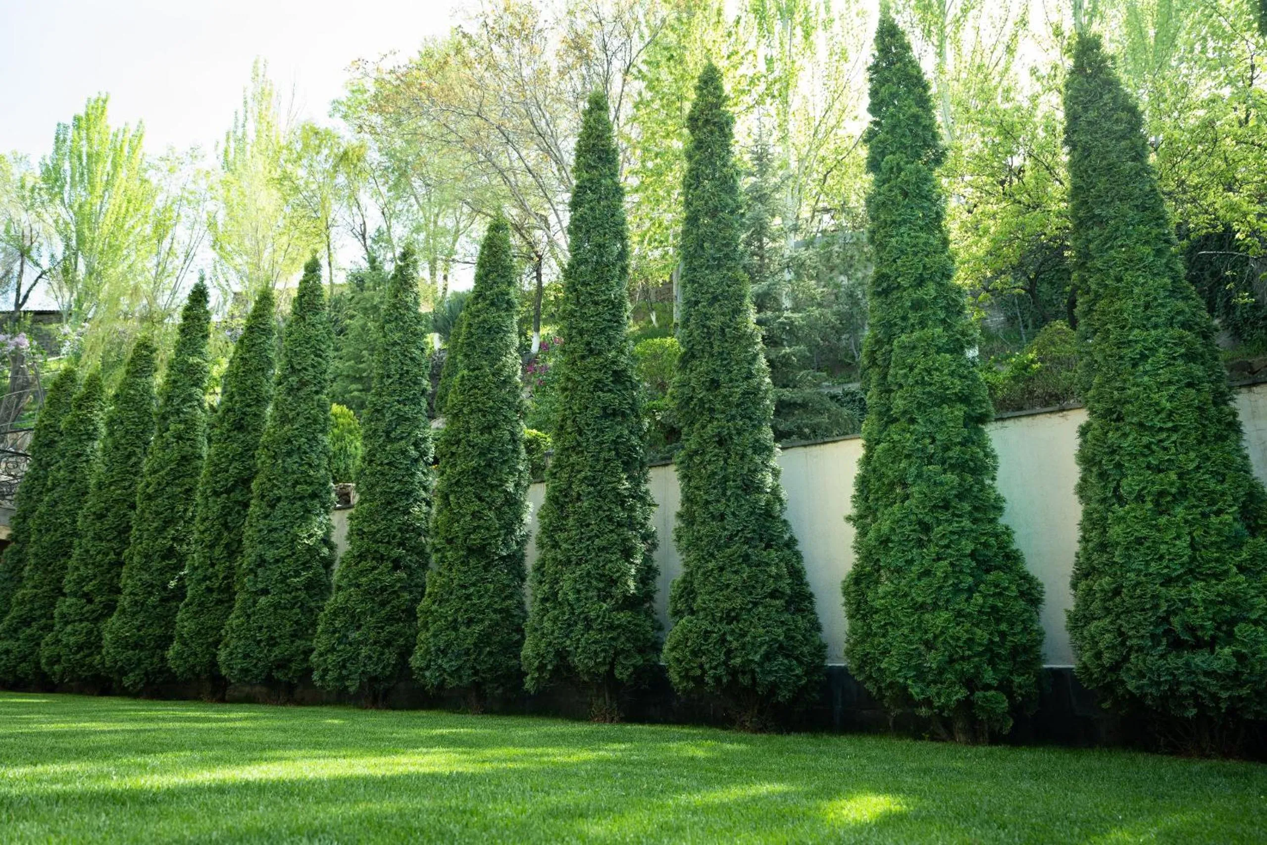 Park Avenue Hotel Yerevan