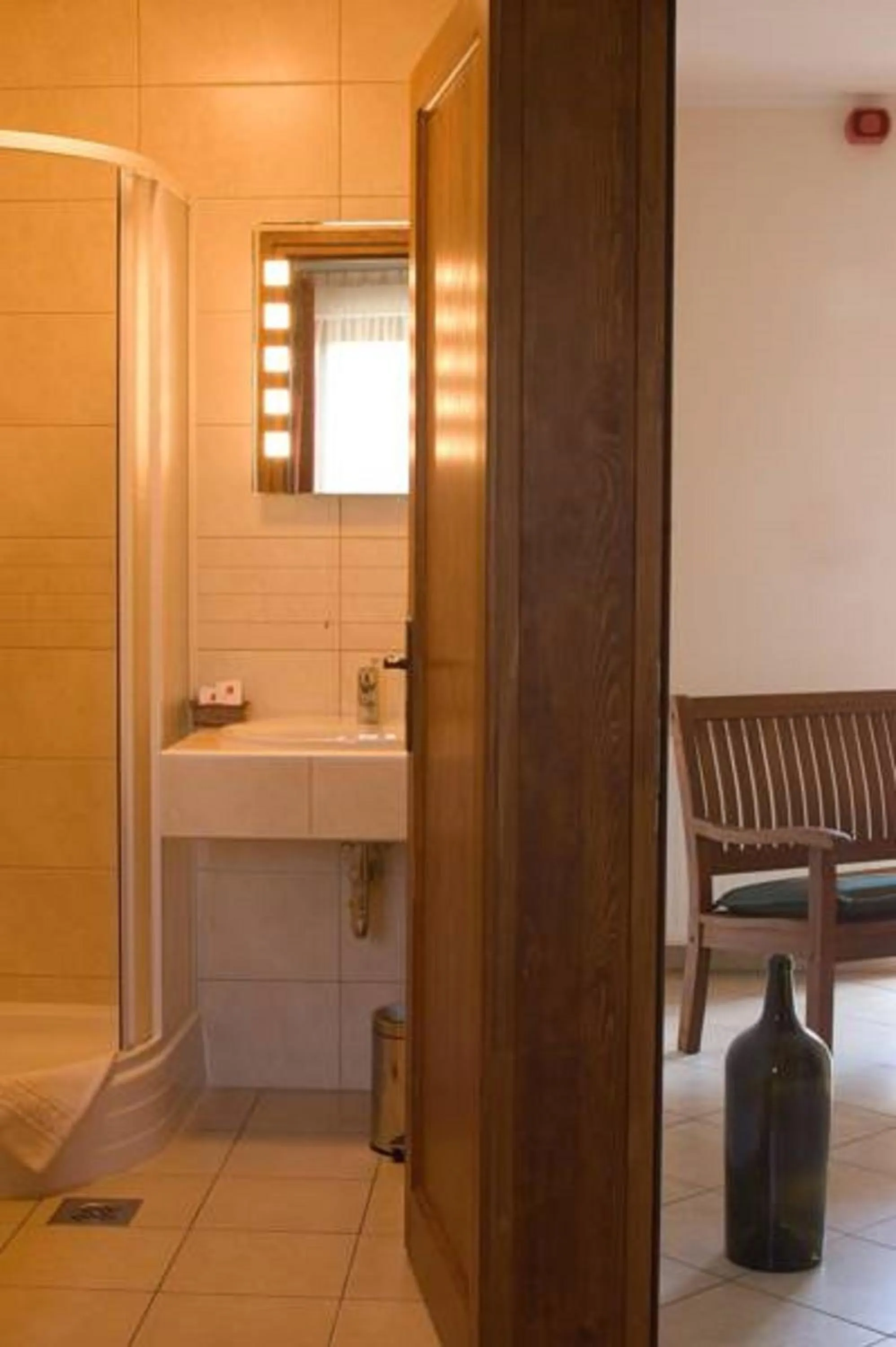 Shower in Frittmann Borház