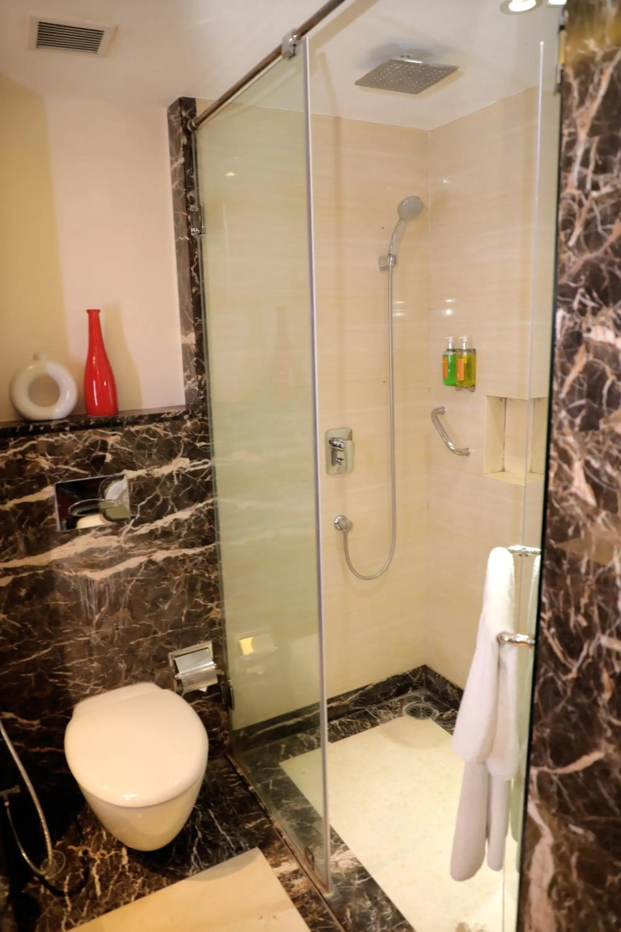 Shower in Zone By The Park , Bani Park Jaipur