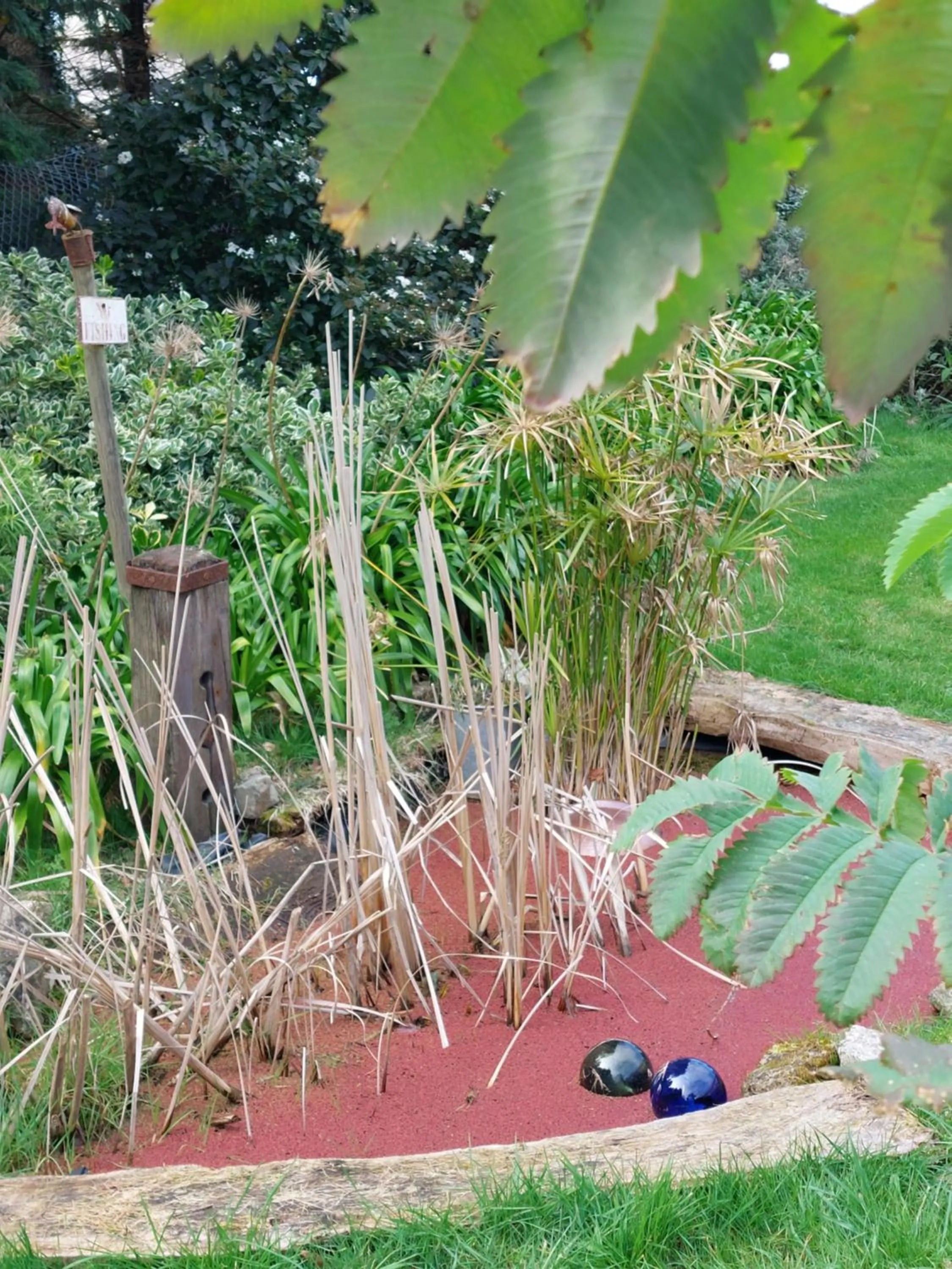 Natural landscape in Retour aux Sources