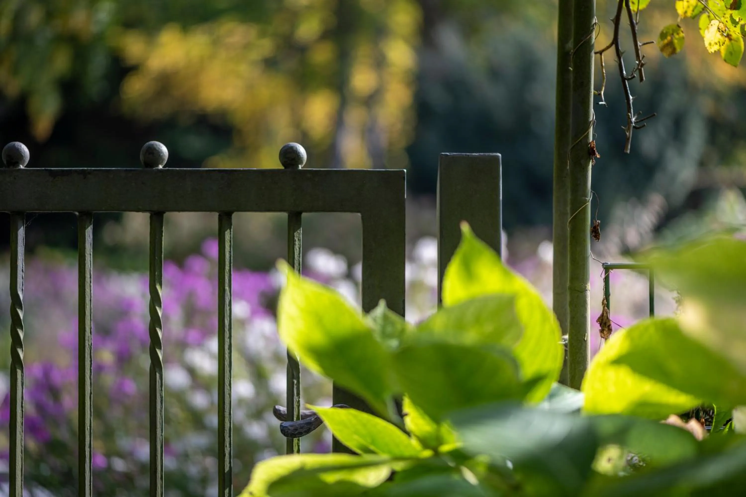 Hotel Garni Villa Rosengarten
