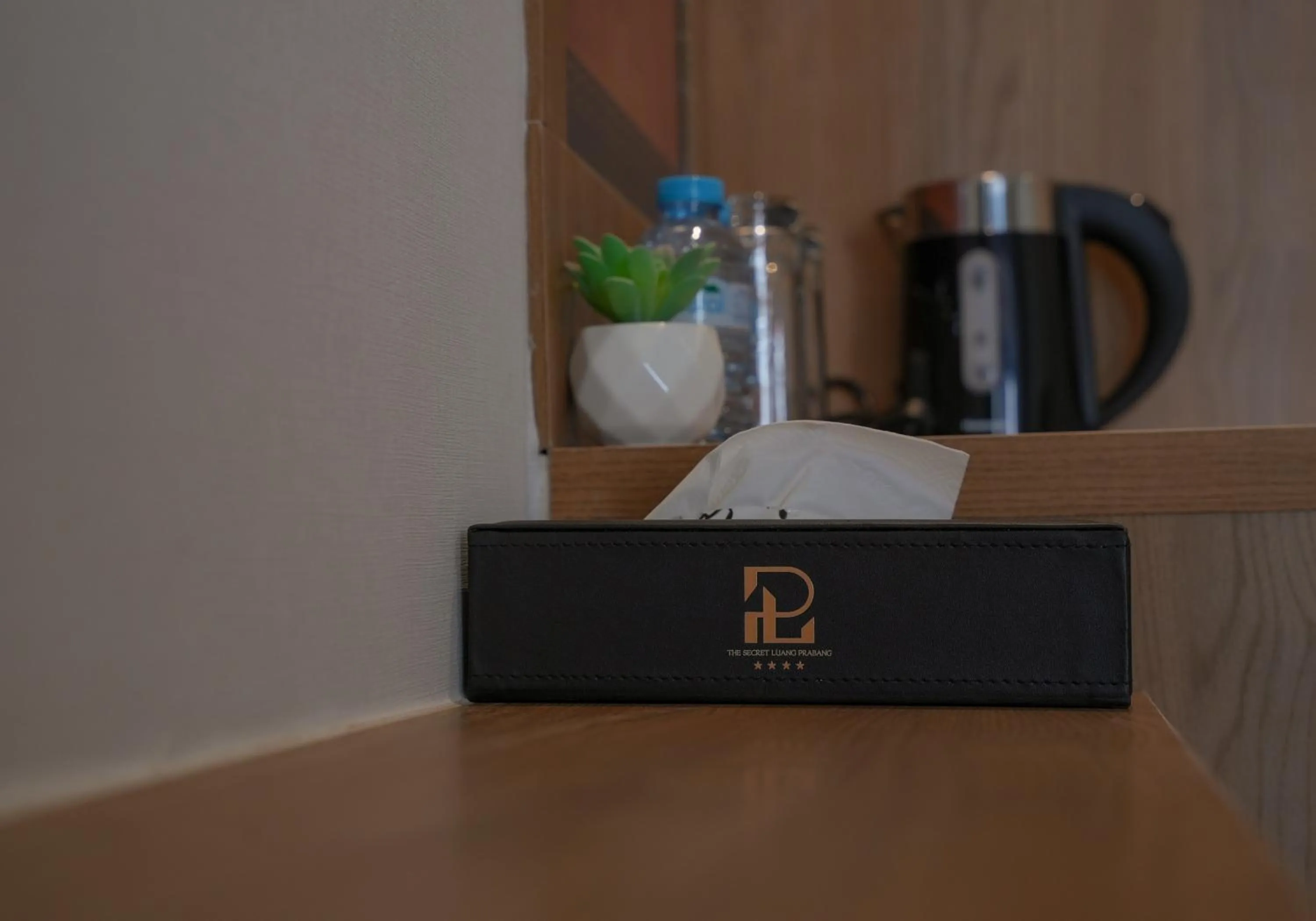 The Secret Luang Prabang