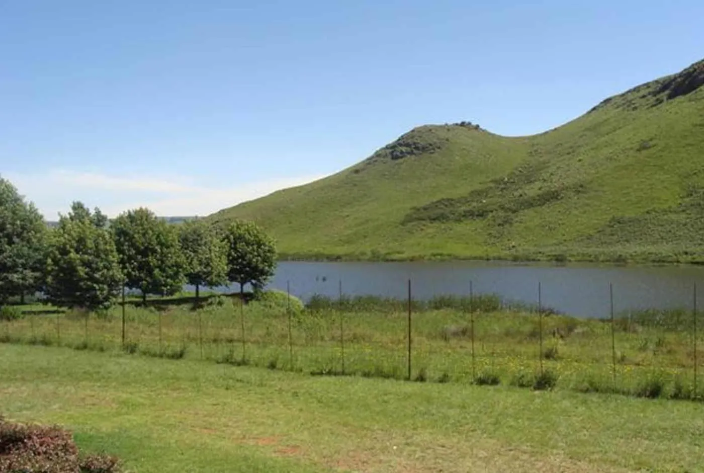 View (from property/room) in Fox & Squirrel