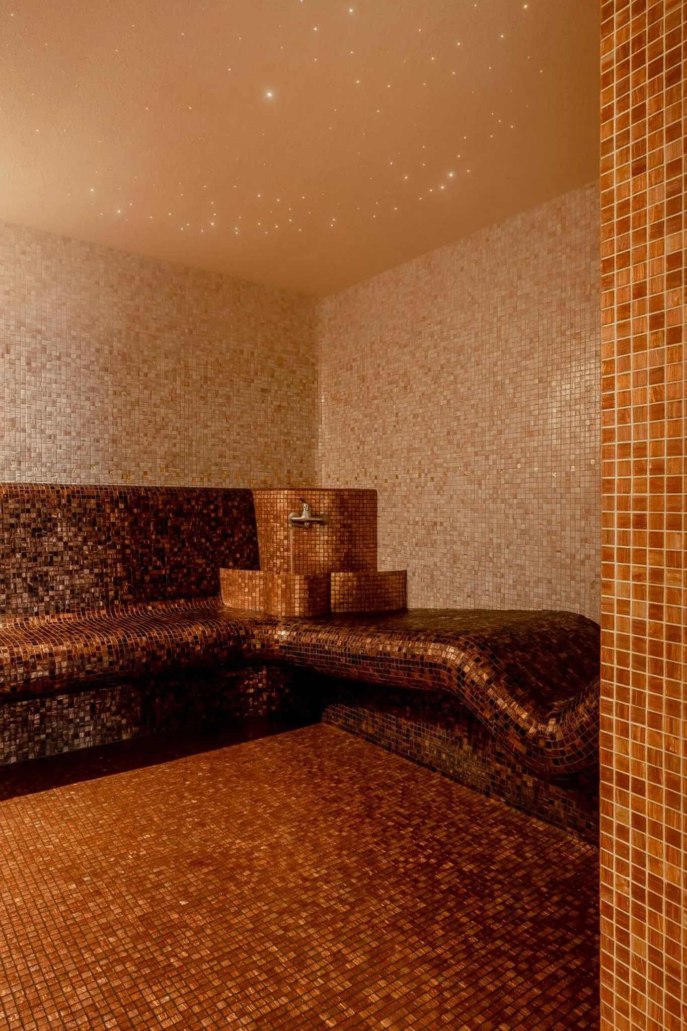 Sauna in Coco Boutique Hotel & Spa