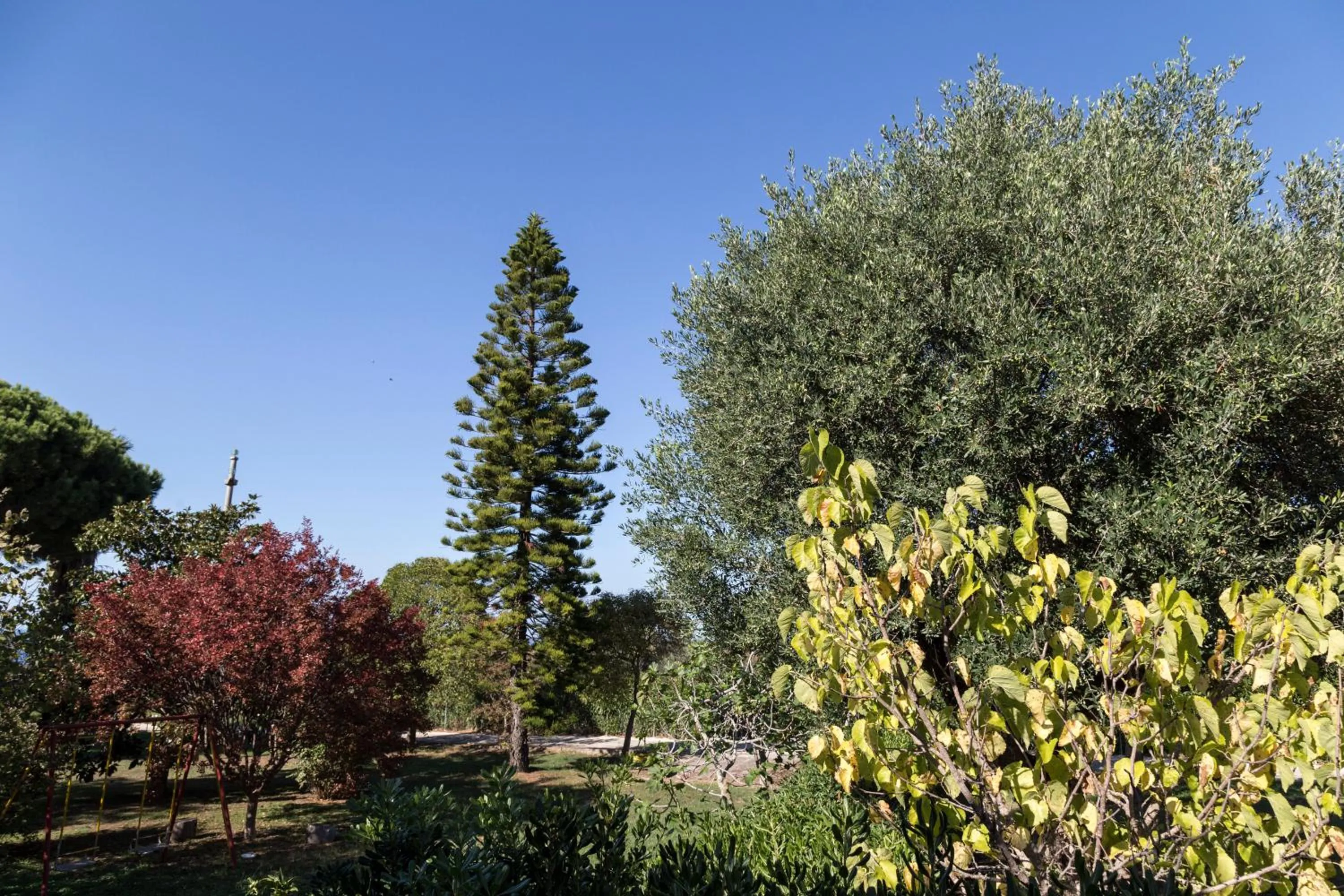 Natural landscape in Happy Days